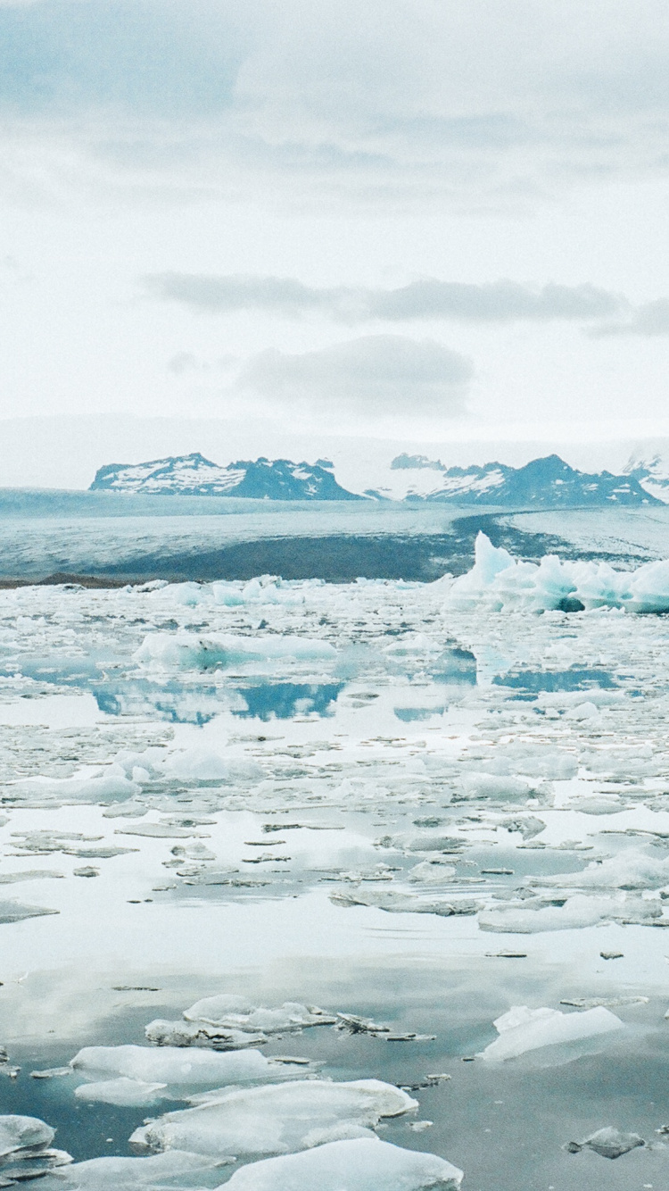 Обои Северный Ледовитый океан, ледник, айсберг, лед, ледниковое озеро в разрешении 750x1334