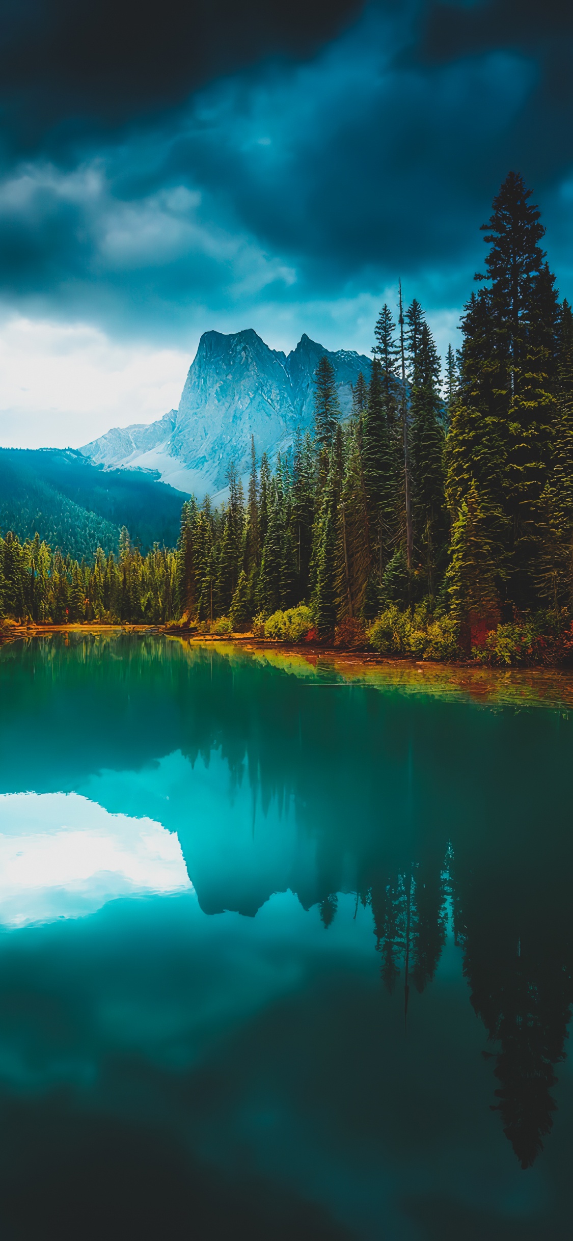 Обои отражение, вода, облако, гора, растение в разрешении 1125x2436