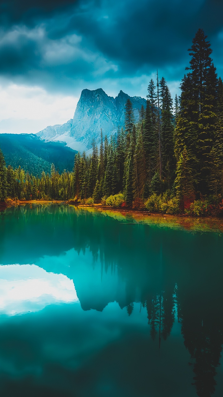 Обои отражение, вода, облако, гора, растение в разрешении 720x1280