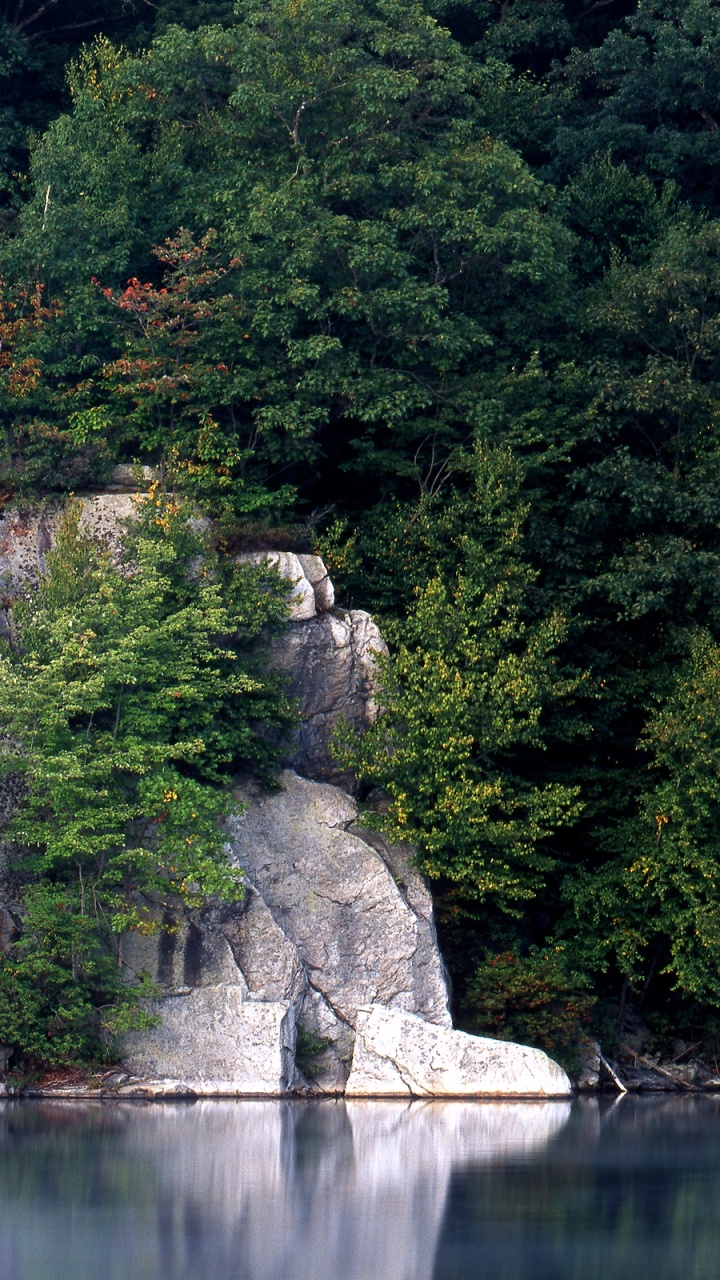 Обои водоем, природа, вода, растительность, природный заповедник в разрешении 720x1280