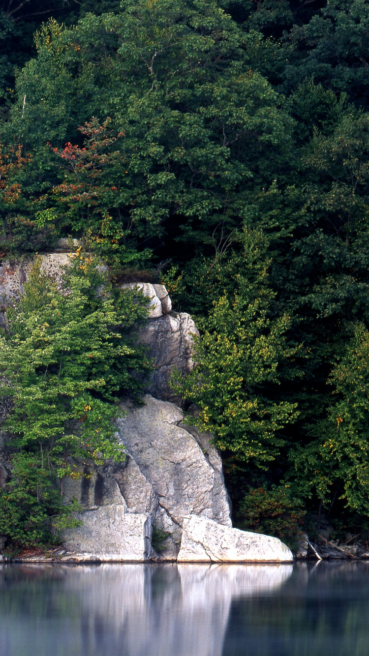 Обои водоем, природа, вода, растительность, природный заповедник в разрешении 750x1334