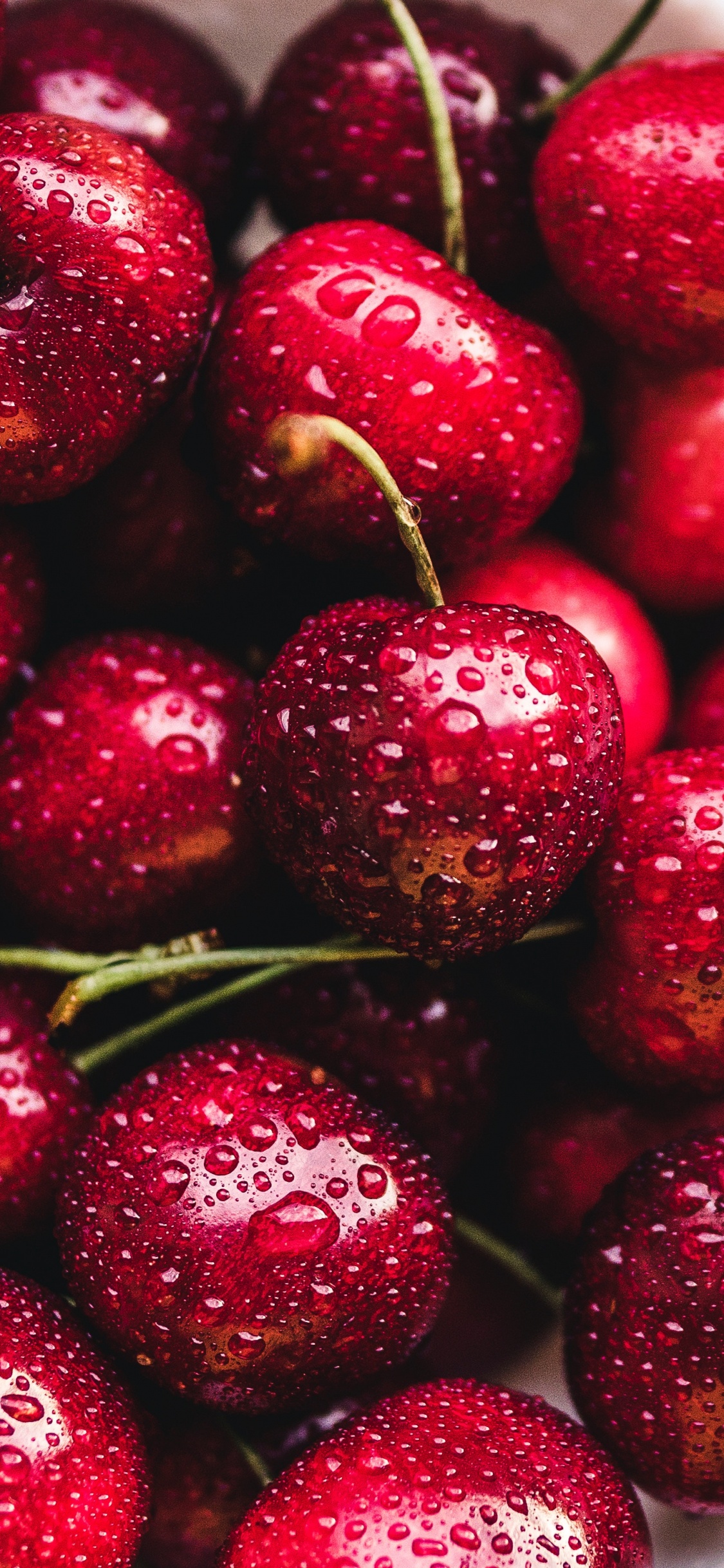 Обои вишня, фрукты, ягоды, природные продукты, пища в разрешении 1125x2436