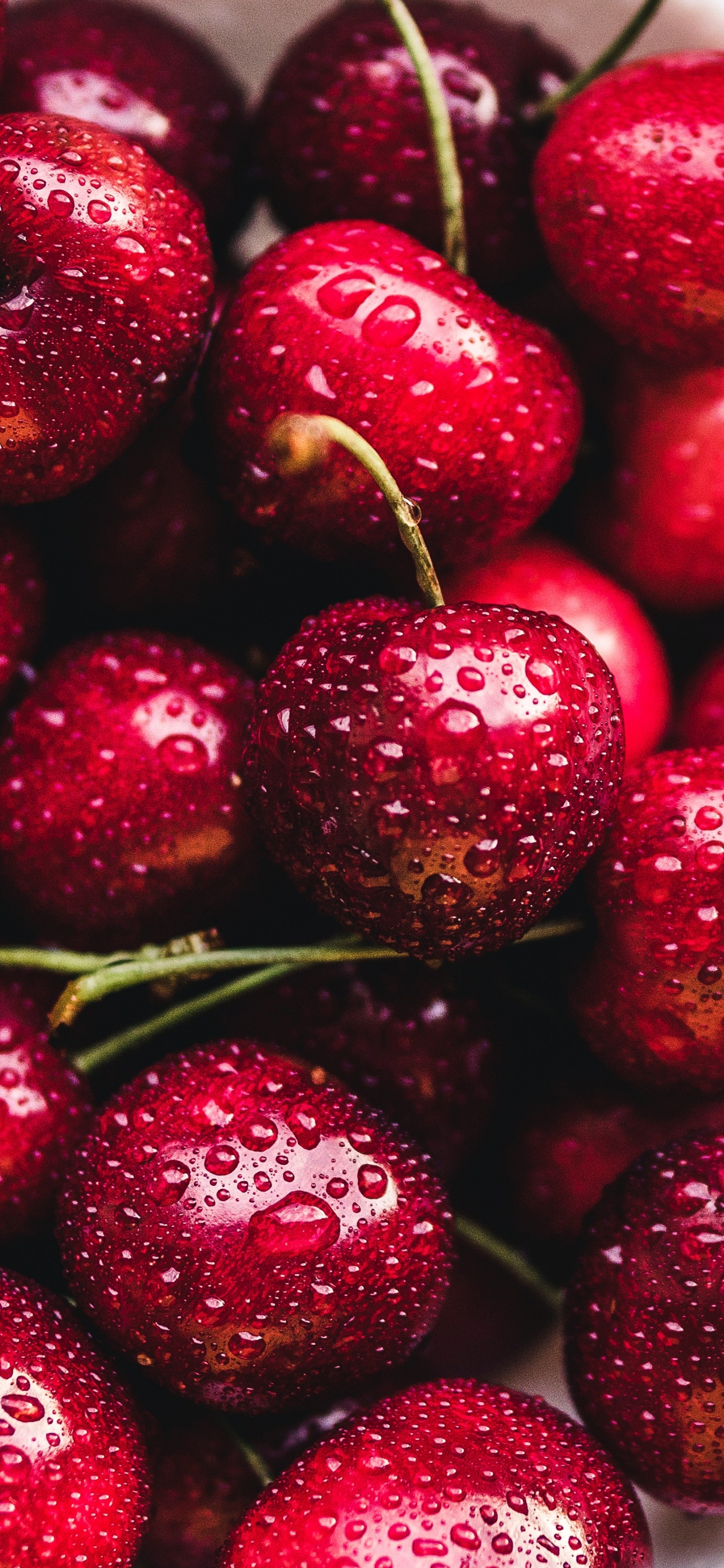 Обои вишня, фрукты, ягоды, природные продукты, пища в разрешении 1242x2688