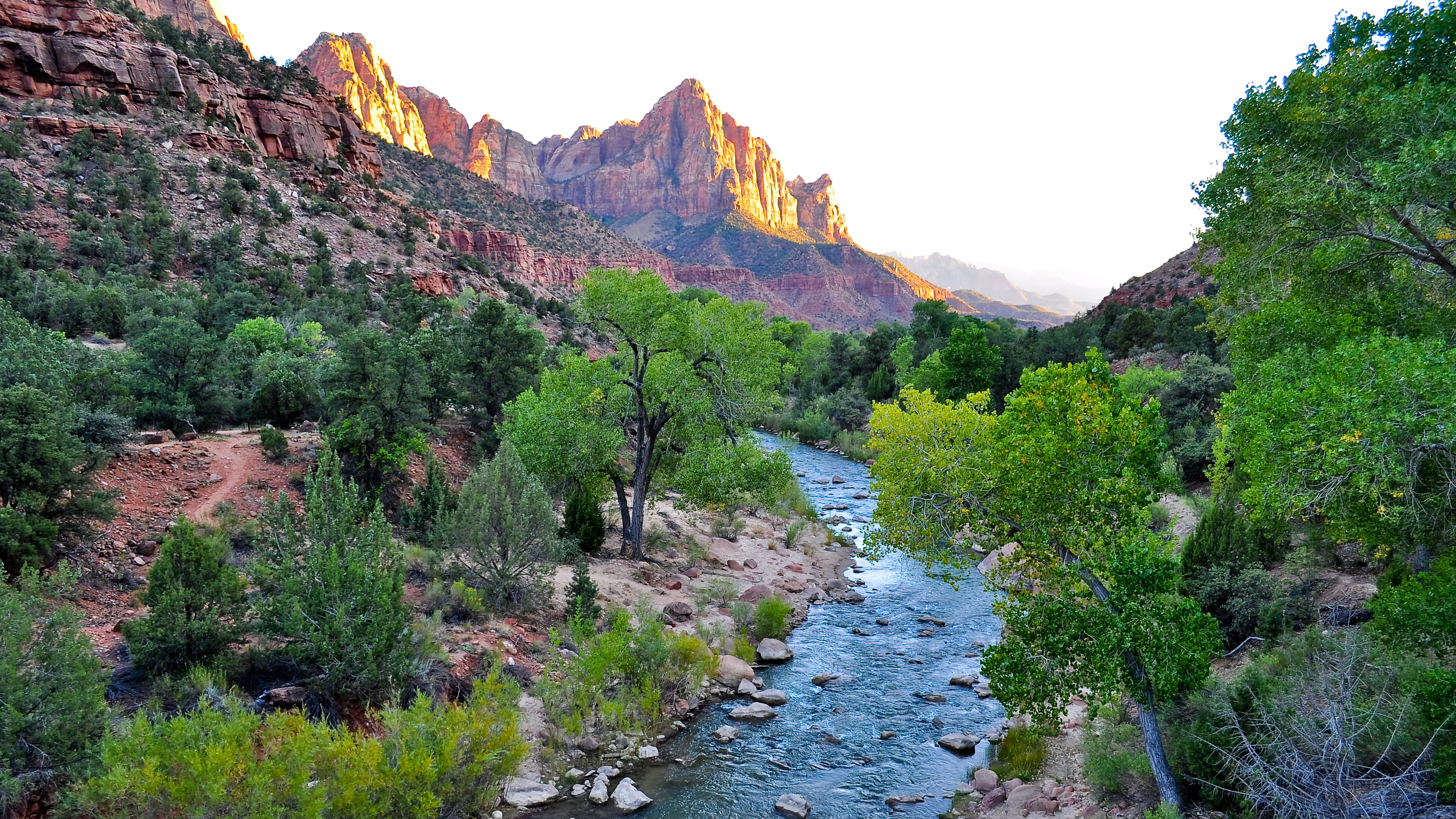 Обои национальный парк зайон, национальный парк арки, национальный парк, парк, природный ландшафт в разрешении 3840x2160