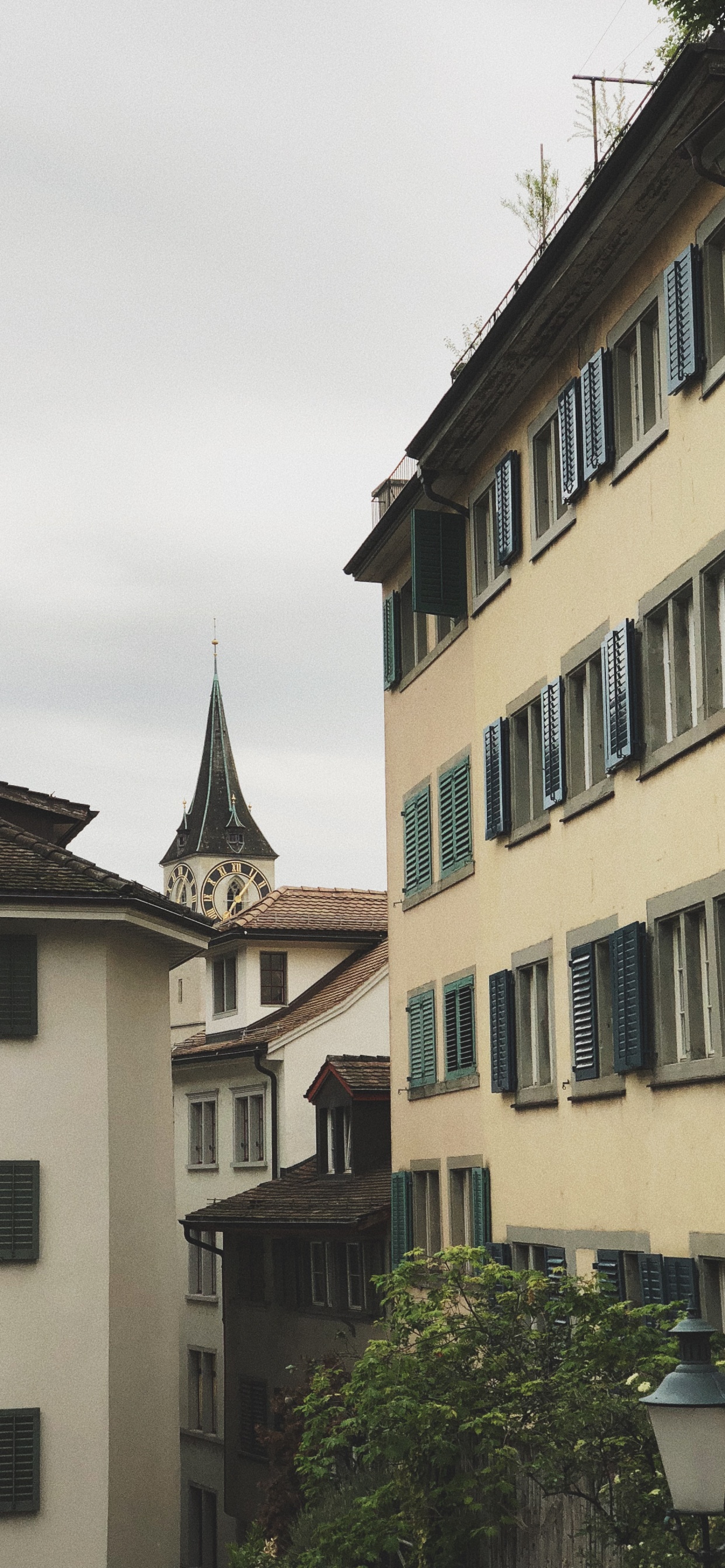 Обои Grossmnster, окно, фасад, соседство, здание в разрешении 1242x2688