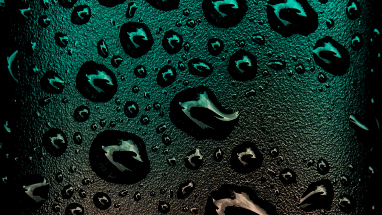 Обои вода, зеленый, падение, влага, роса в разрешении 1280x720