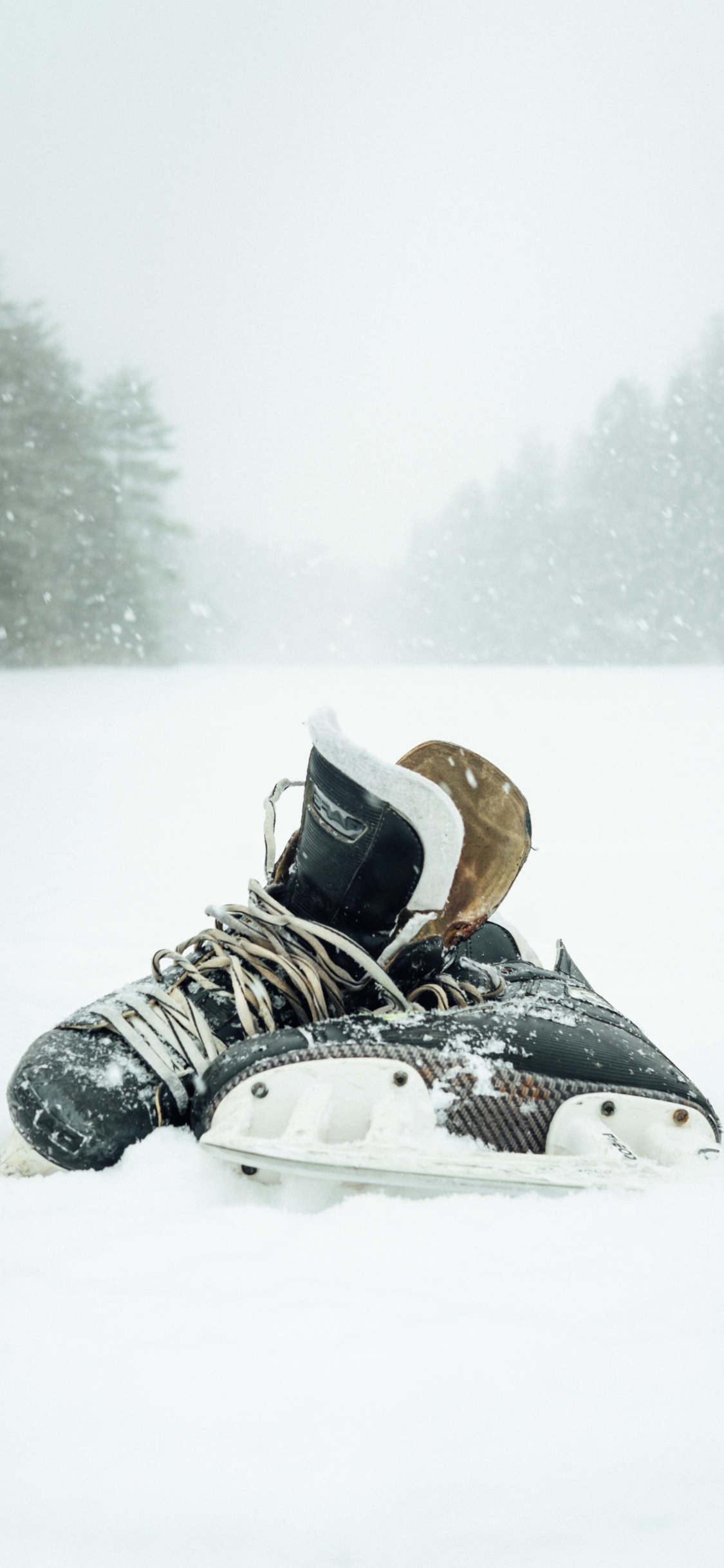Обои снег, обувь, зима, башмак, зимний шторм в разрешении 1125x2436