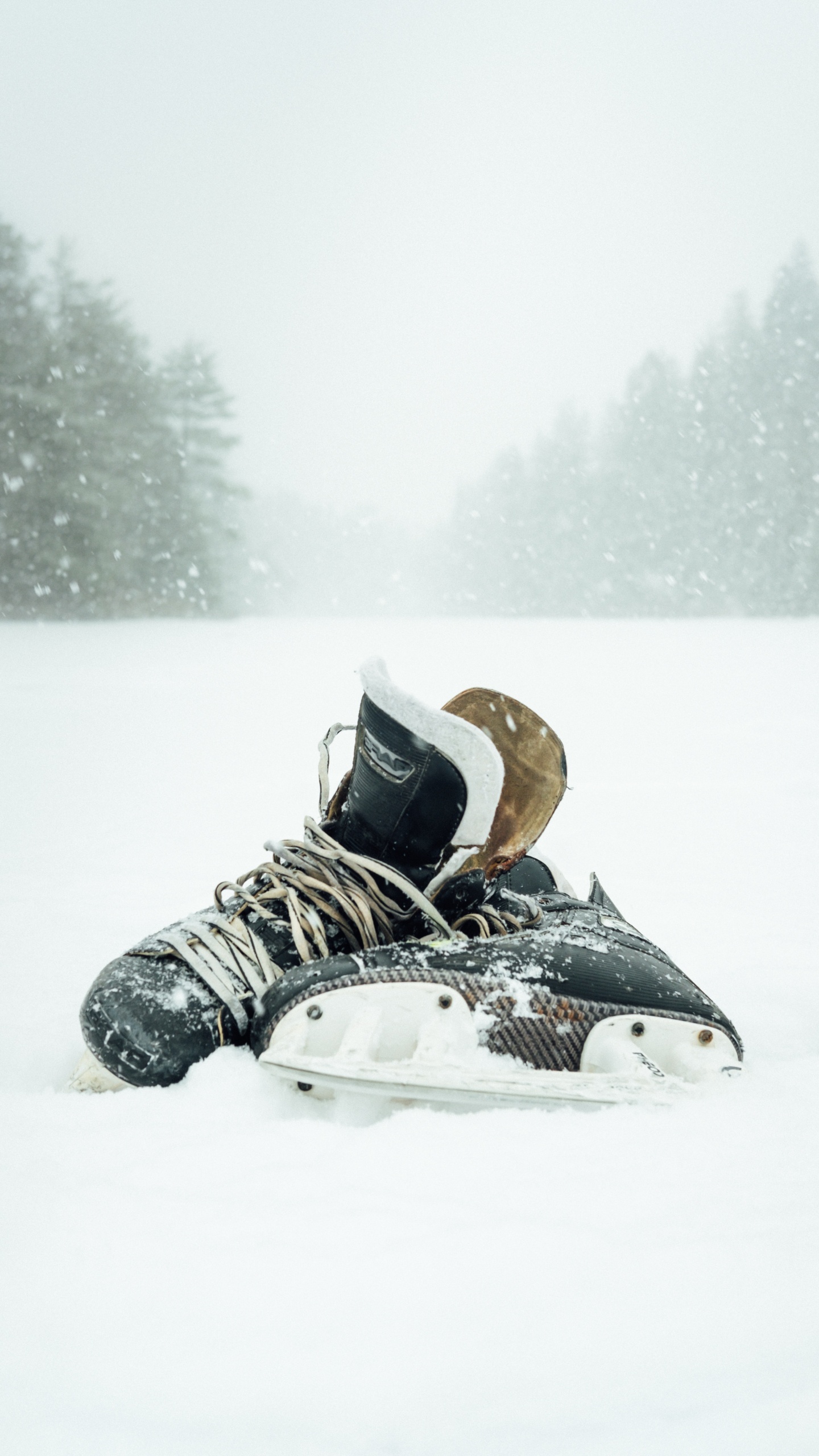 Обои снег, обувь, зима, башмак, зимний шторм в разрешении 1440x2560