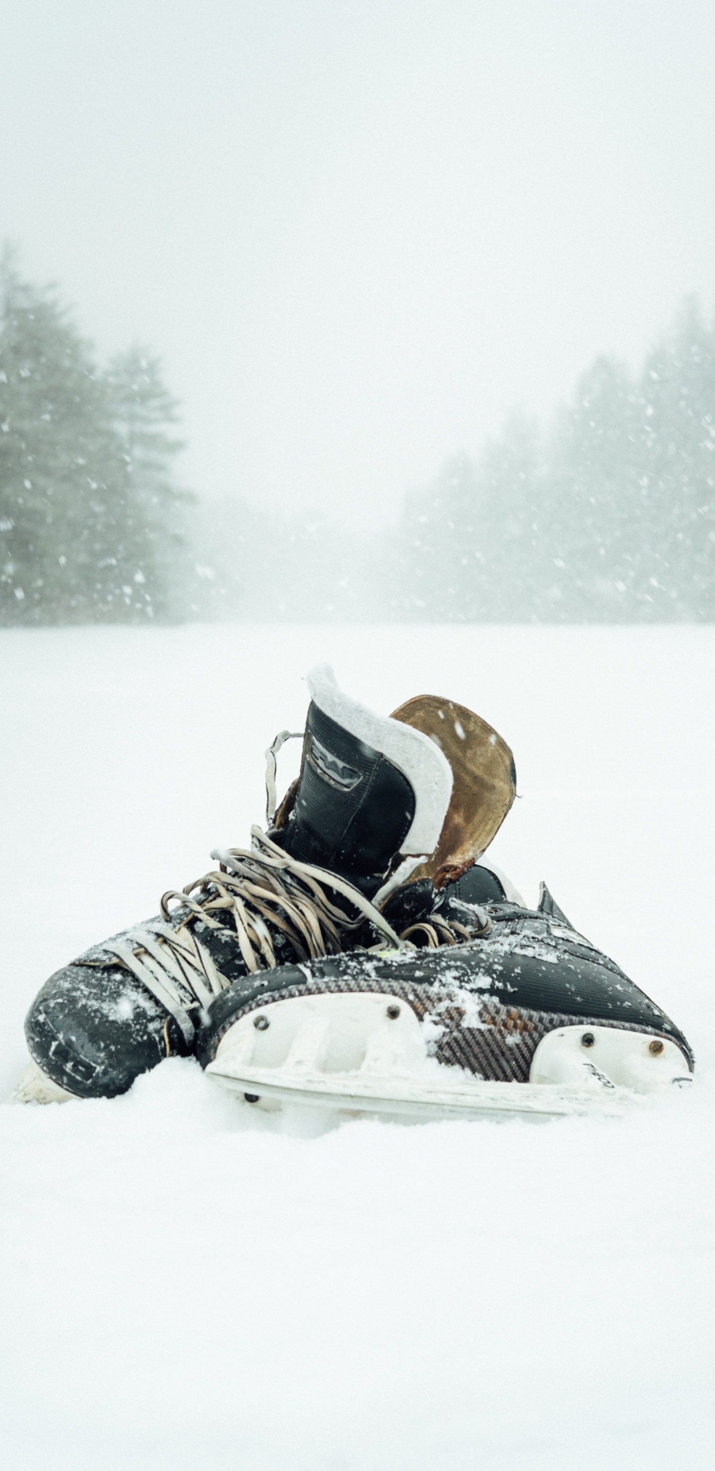 Обои снег, обувь, зима, башмак, зимний шторм в разрешении 1440x2960