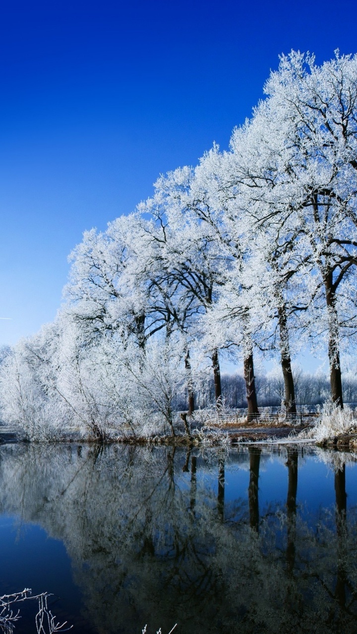 Обои Windows 8, microsoft windows, отражение, природа, зима в разрешении 720x1280