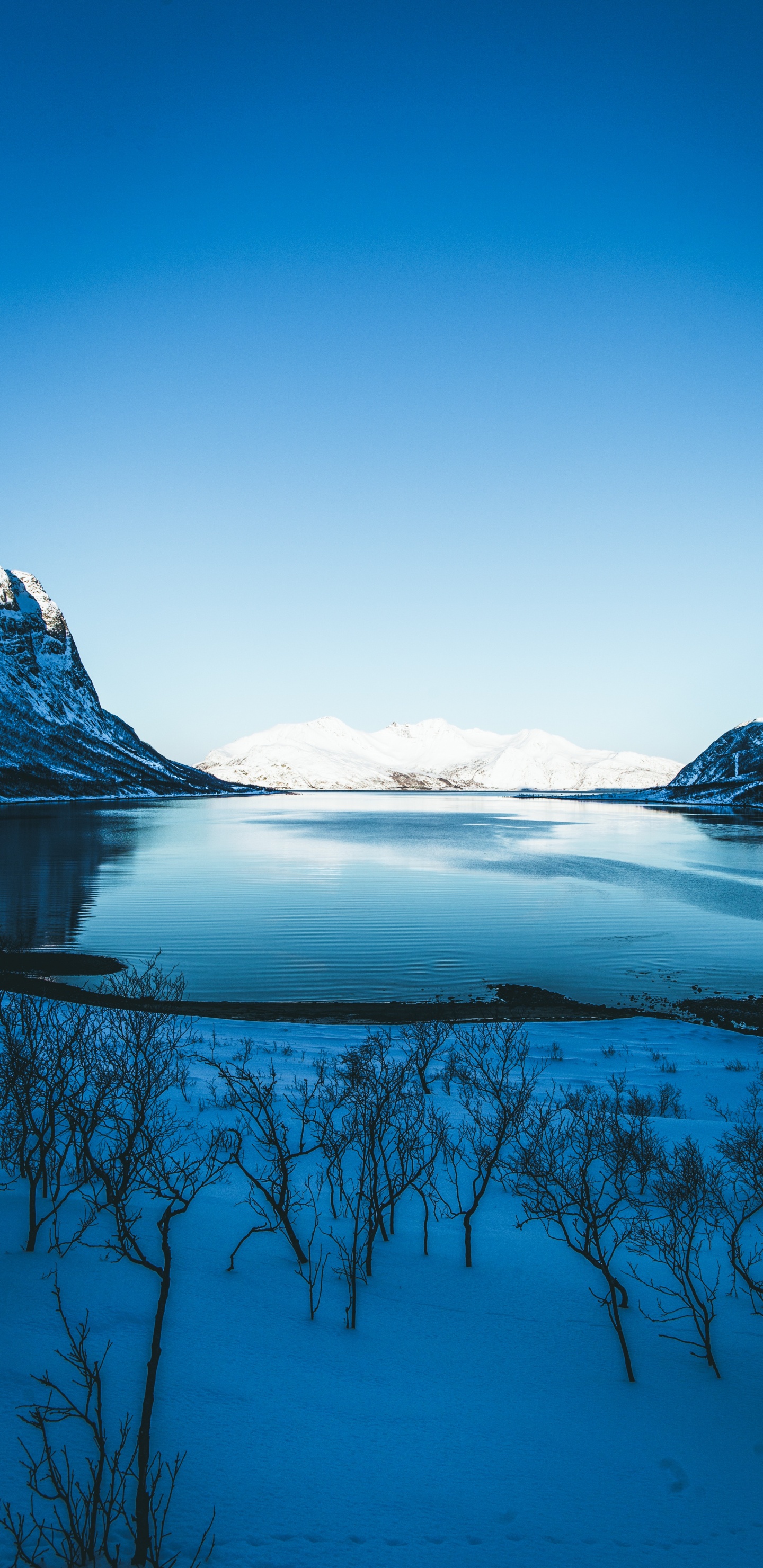 Обои зима, природа, водоем, природный ландшафт, синий в разрешении 1440x2960