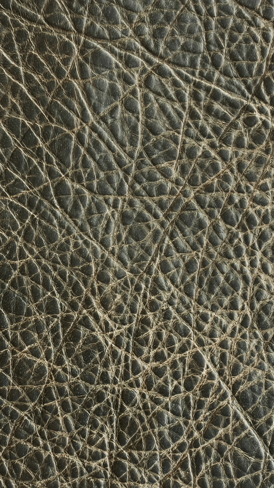 Обои наложение текстуры, кожа, узор, иллюстрация, виртуальная реальность в разрешении 1080x1920