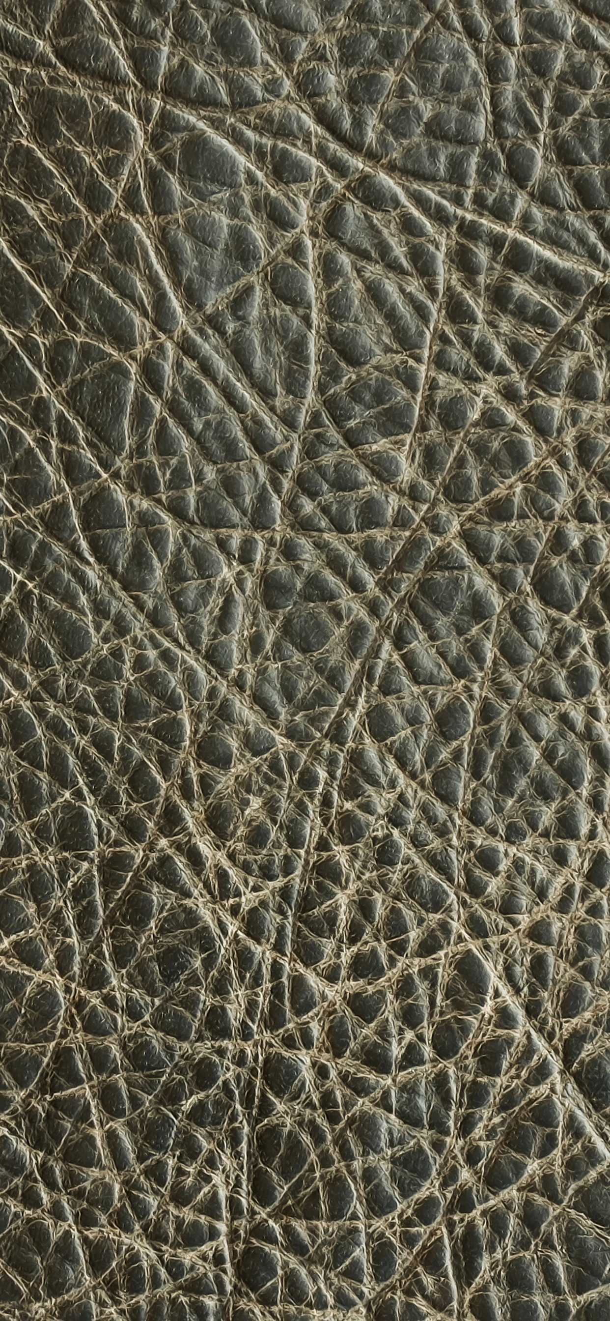 Обои наложение текстуры, кожа, узор, иллюстрация, виртуальная реальность в разрешении 1242x2688