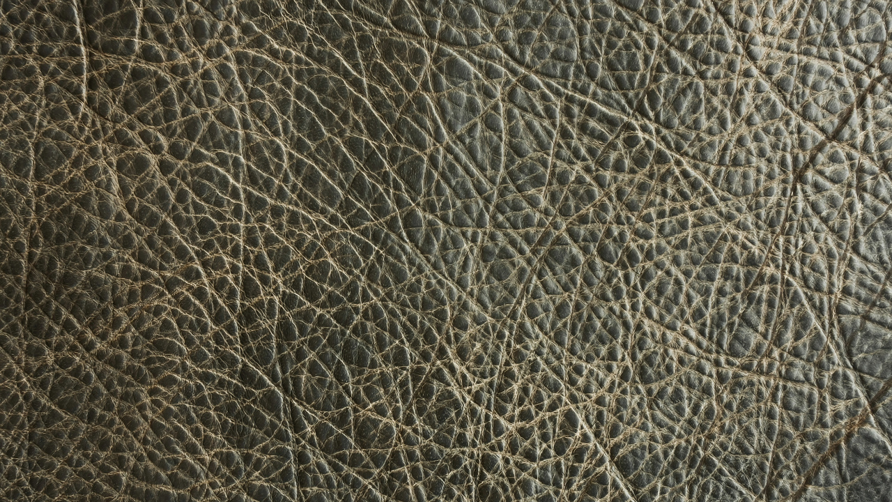 Обои наложение текстуры, кожа, узор, иллюстрация, виртуальная реальность в разрешении 1280x720