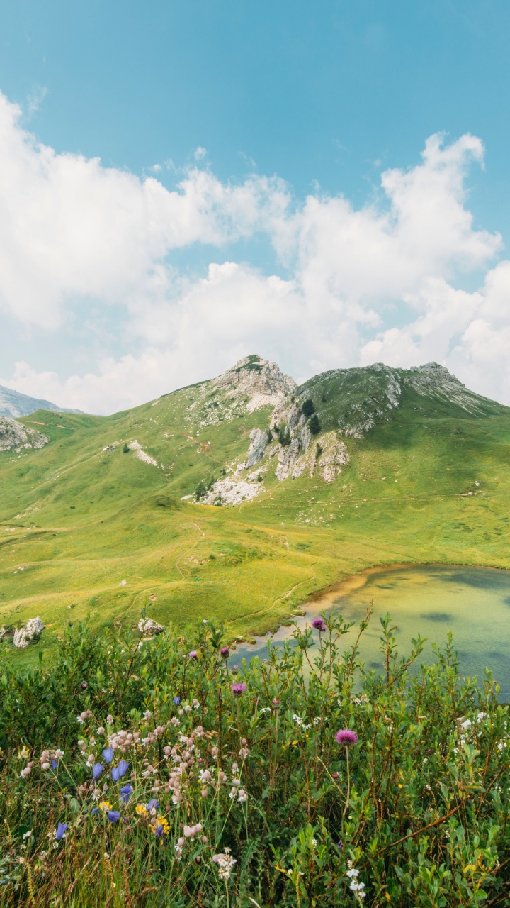Обои Нандан Пахар Парк Деогхар, облако, растение, гора, цветок в разрешении 720x1280