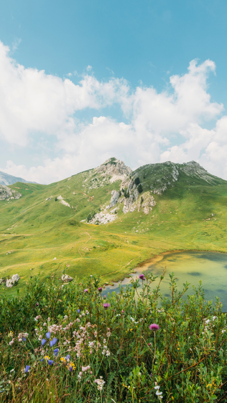 Обои Нандан Пахар Парк Деогхар, облако, растение, гора, цветок в разрешении 750x1334