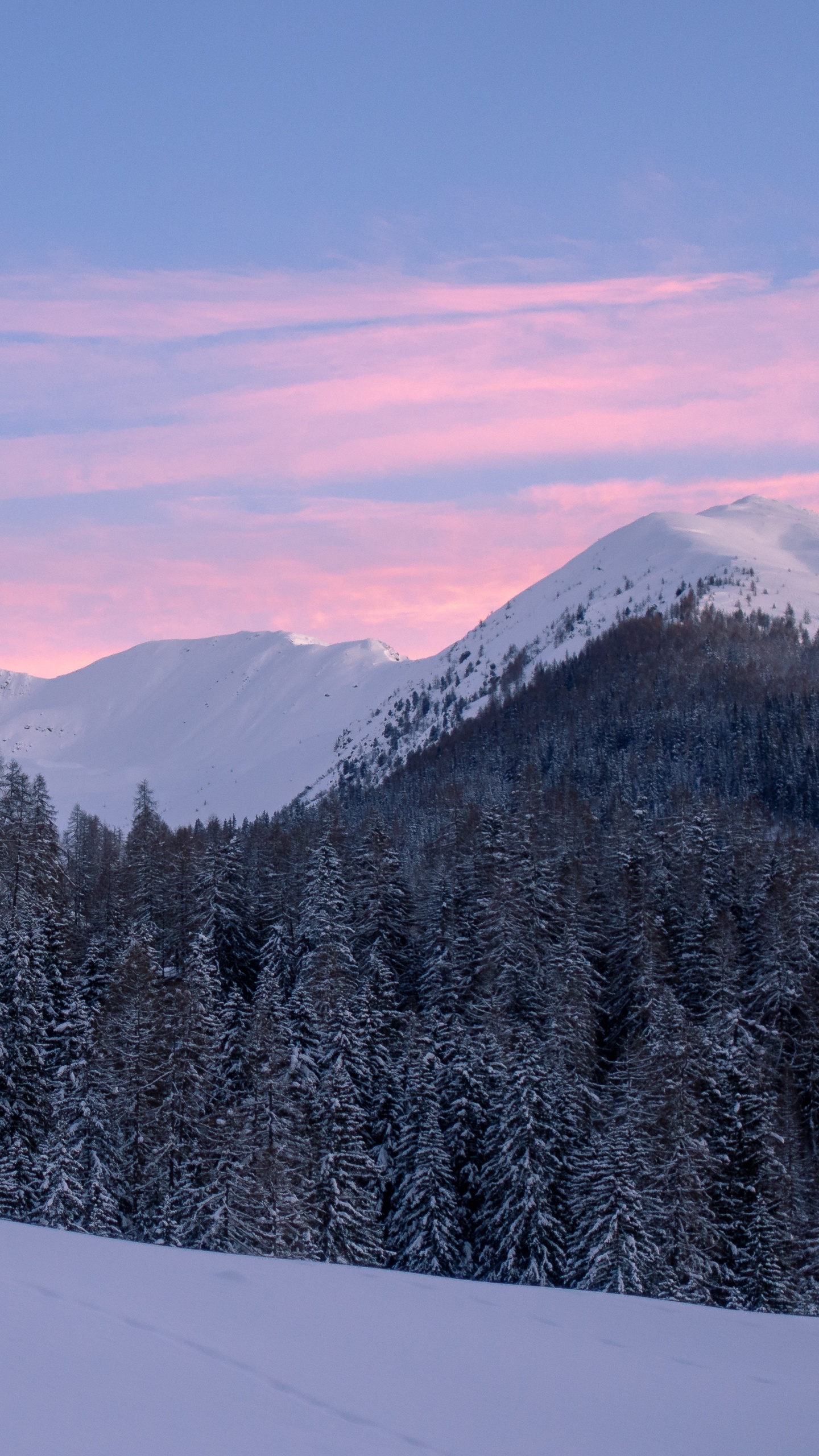 Обои снег, зима, горный рельеф, гора, природа в разрешении 1440x2560