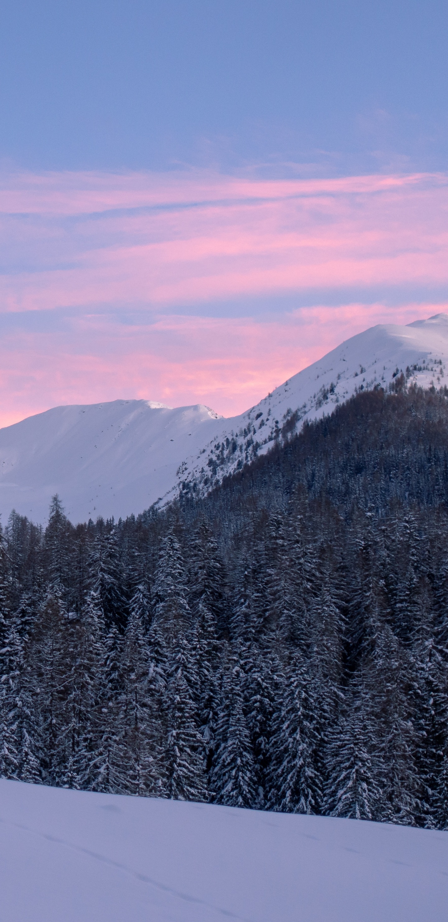 Обои снег, зима, горный рельеф, гора, природа в разрешении 1440x2960