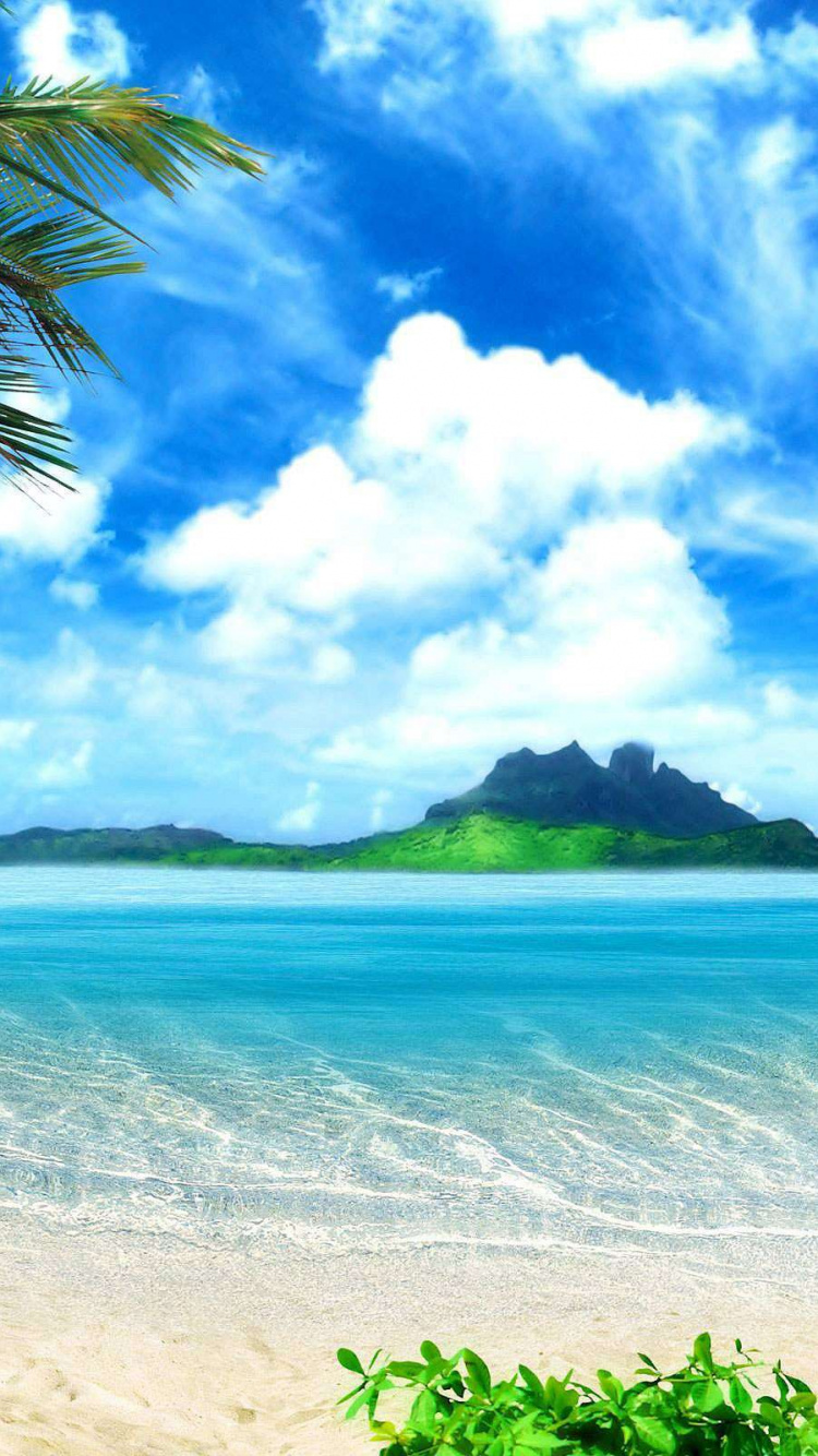 Обои пляж, природа, тропическая зона, Карибский бассейн, Пальма в разрешении 750x1334