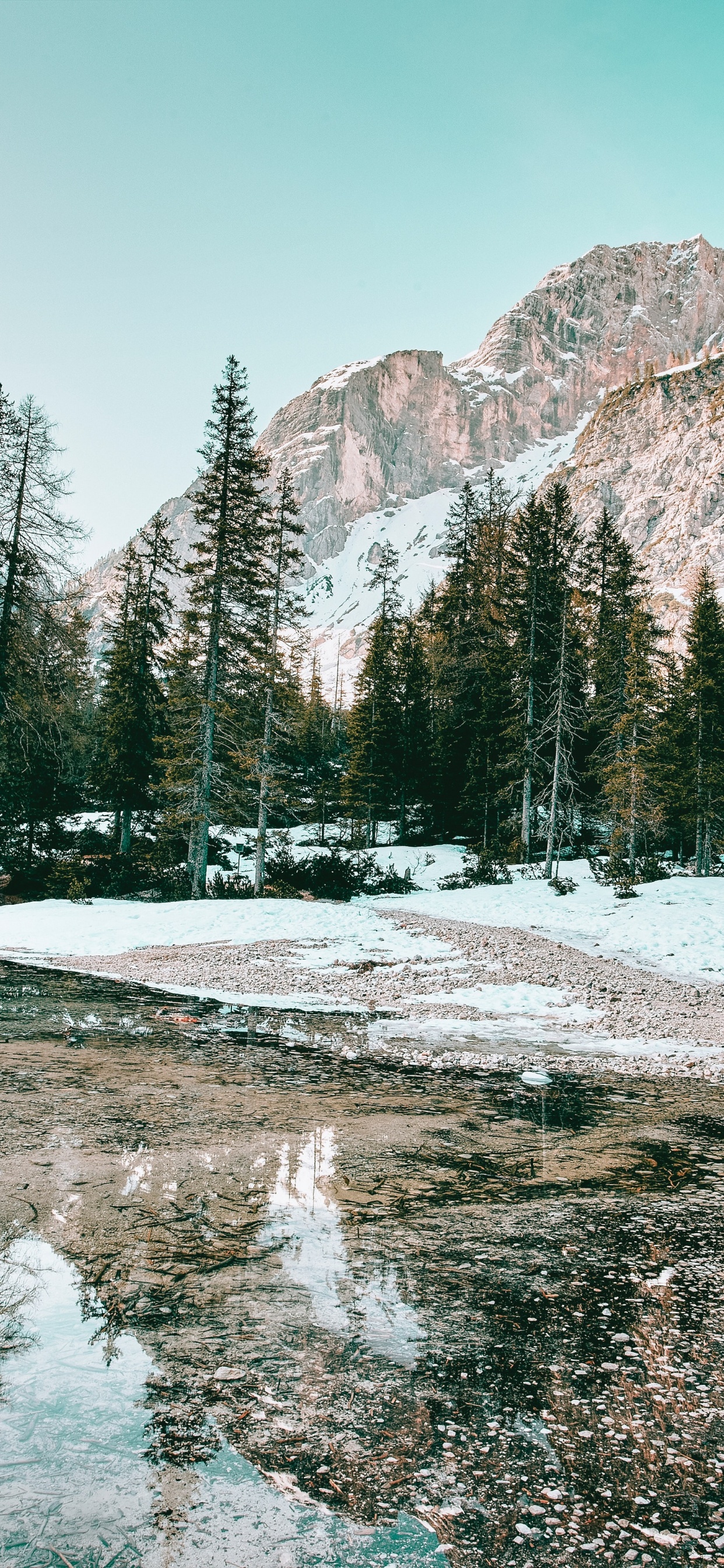 Обои зима, гидроресурсы, гора, вода, растение в разрешении 1242x2688