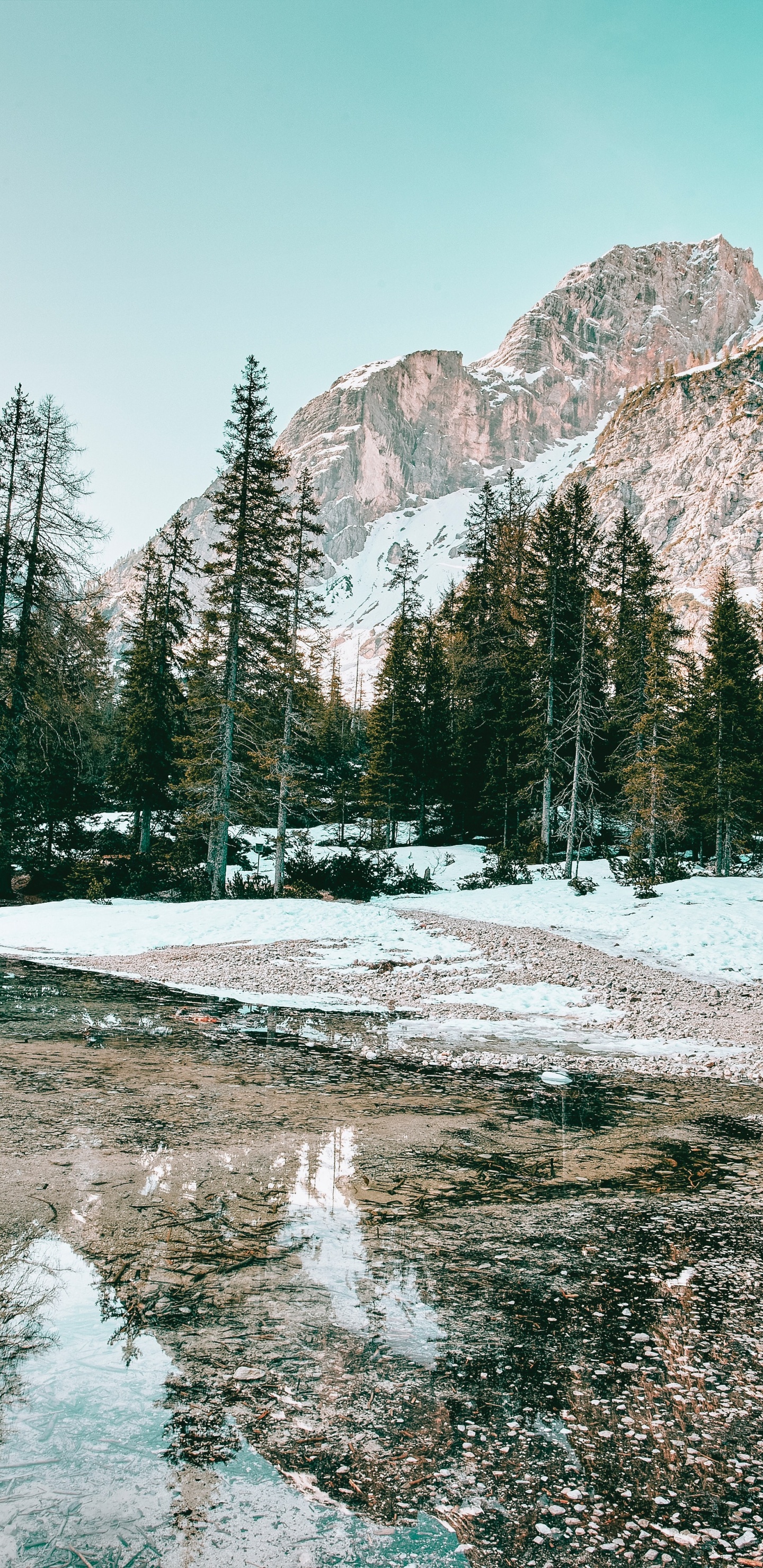 Обои зима, гидроресурсы, гора, вода, растение в разрешении 1440x2960