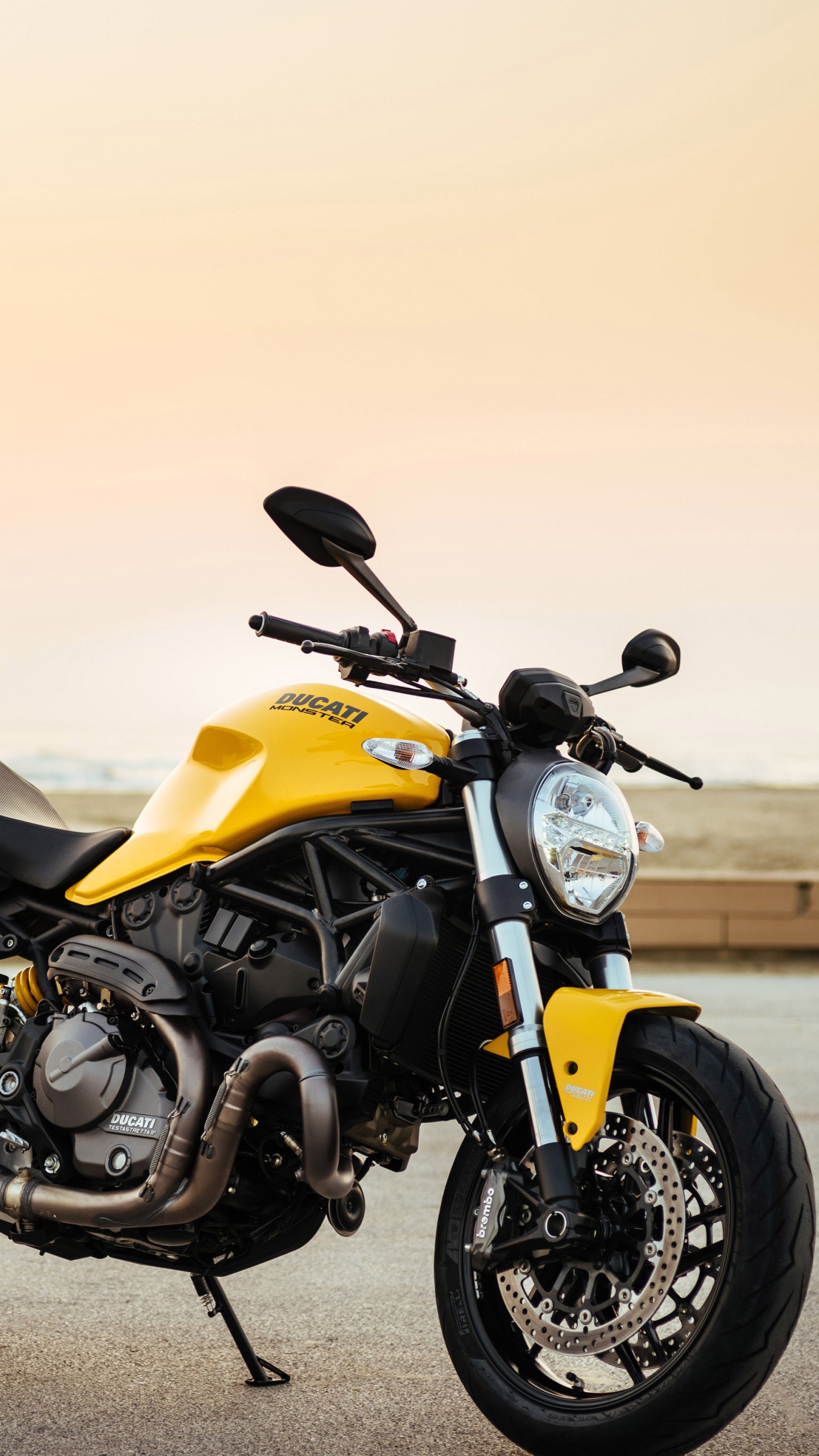 Обои Дукати Монстр 821 2018, ducati, мотоцикл, желтый, авто в разрешении 1440x2560