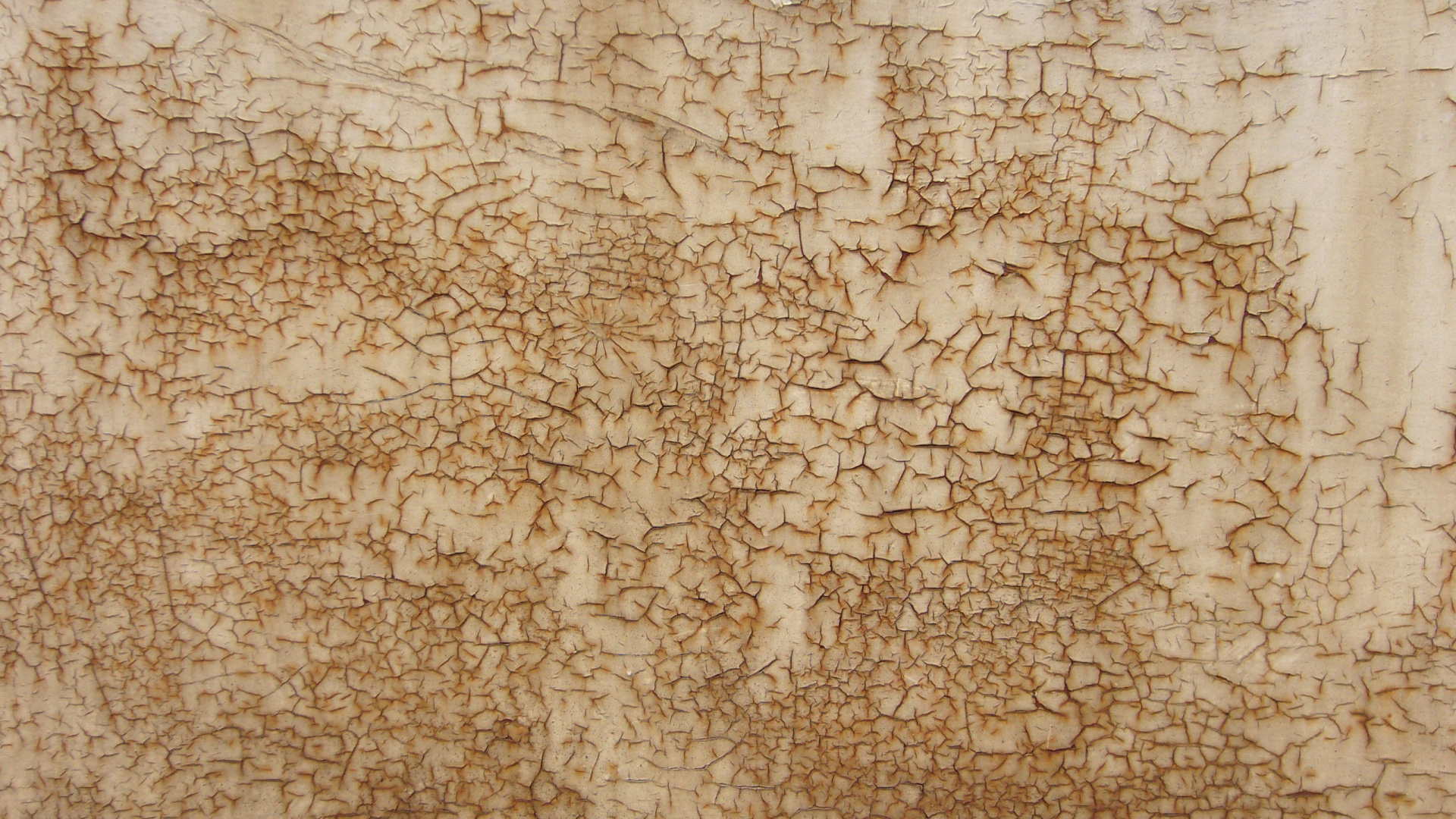 Обои текстура, гранж, Республика, краска, зеленый в разрешении 1920x1080