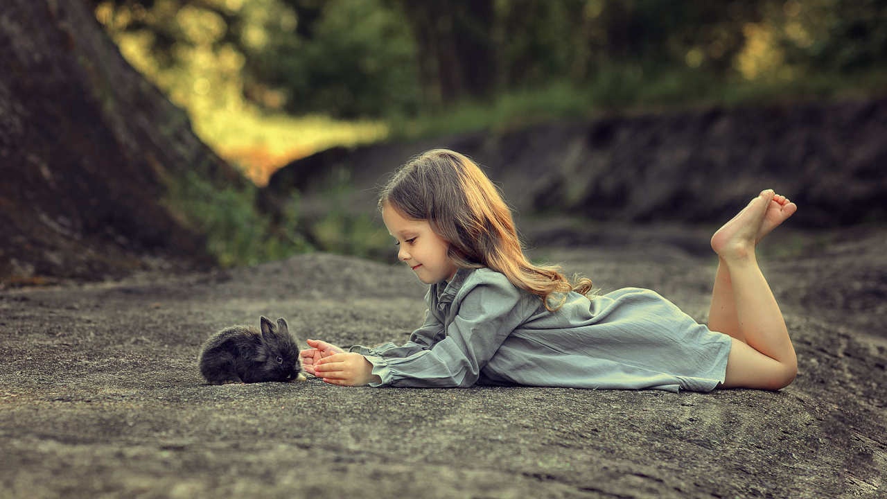 Обои природа, красота, дерево, сидящий, солнечный свет в разрешении 1280x720