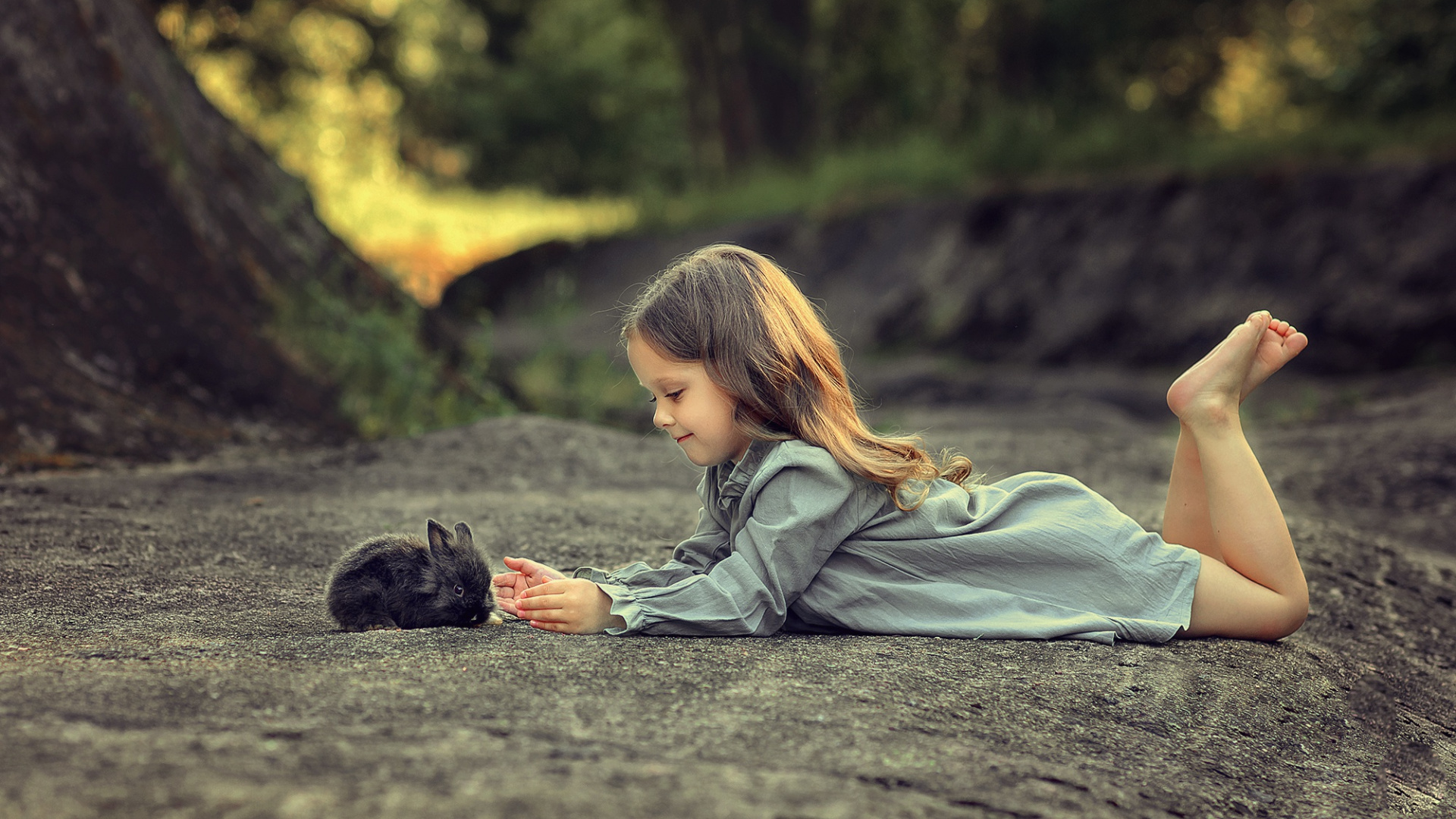 Обои природа, красота, дерево, сидящий, солнечный свет в разрешении 1920x1080