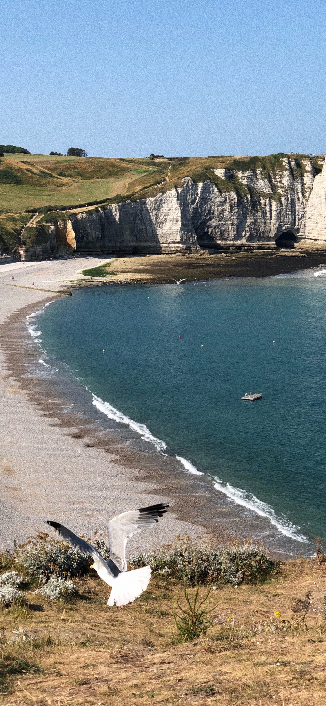 Обои Авальская скала, мыс, водоем, побережье, берег в разрешении 1125x2436