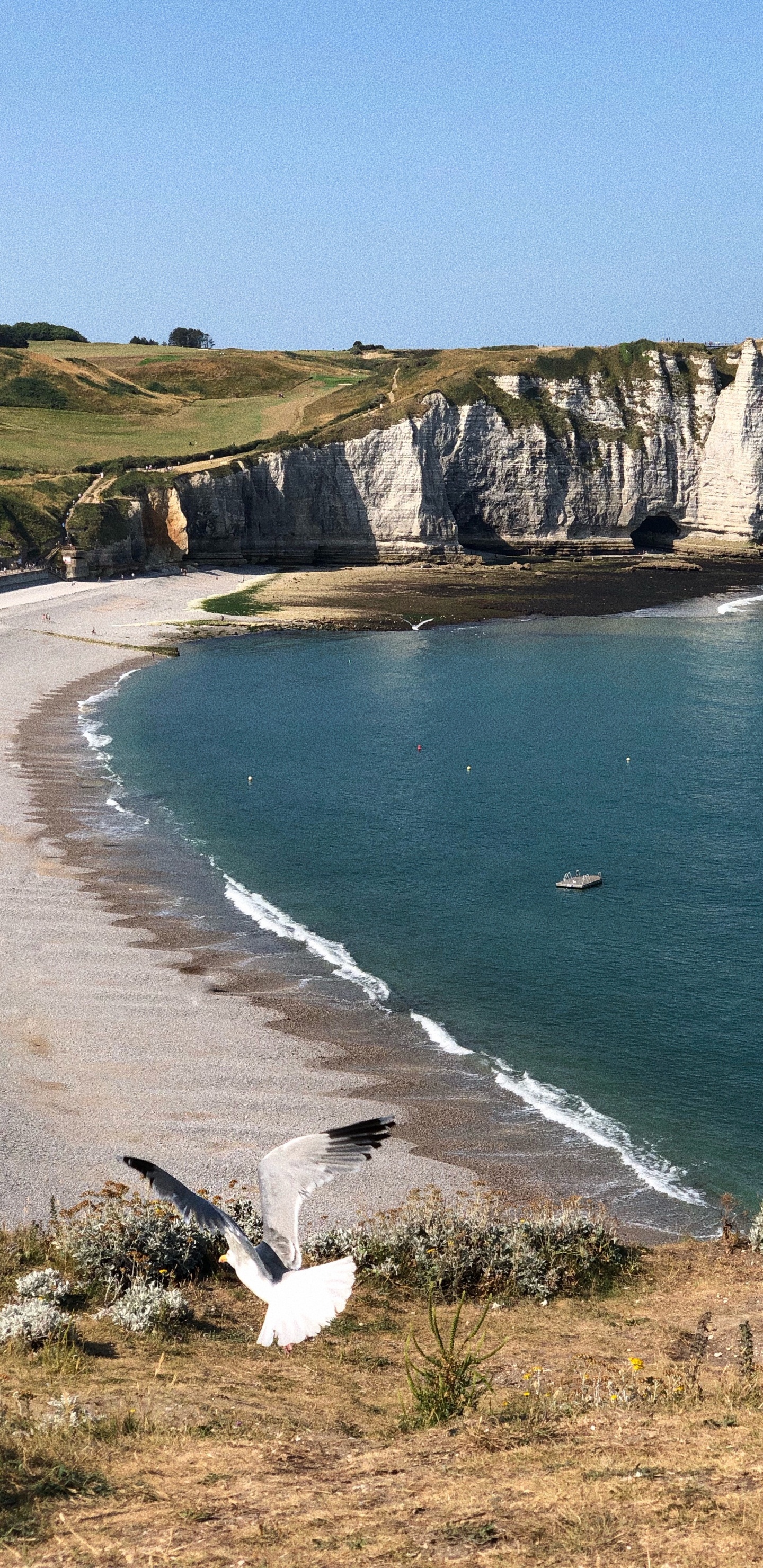 Обои Авальская скала, мыс, водоем, побережье, берег в разрешении 1440x2960