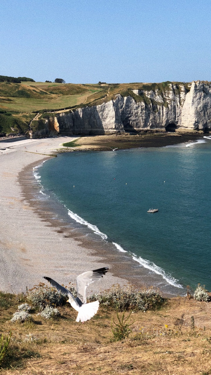 Обои Авальская скала, мыс, водоем, побережье, берег в разрешении 720x1280