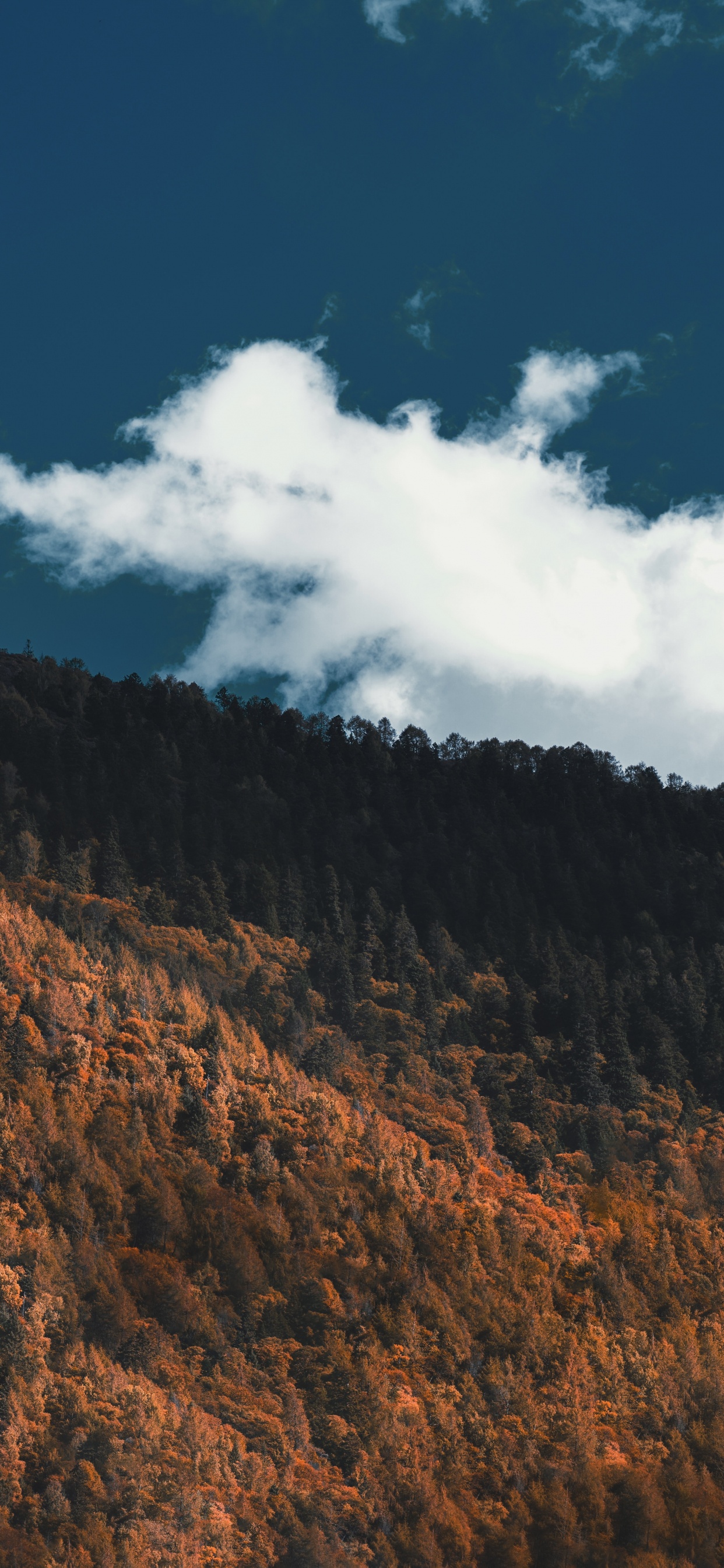 Обои облако, горный рельеф, гора, дикая местность, почва в разрешении 1242x2688