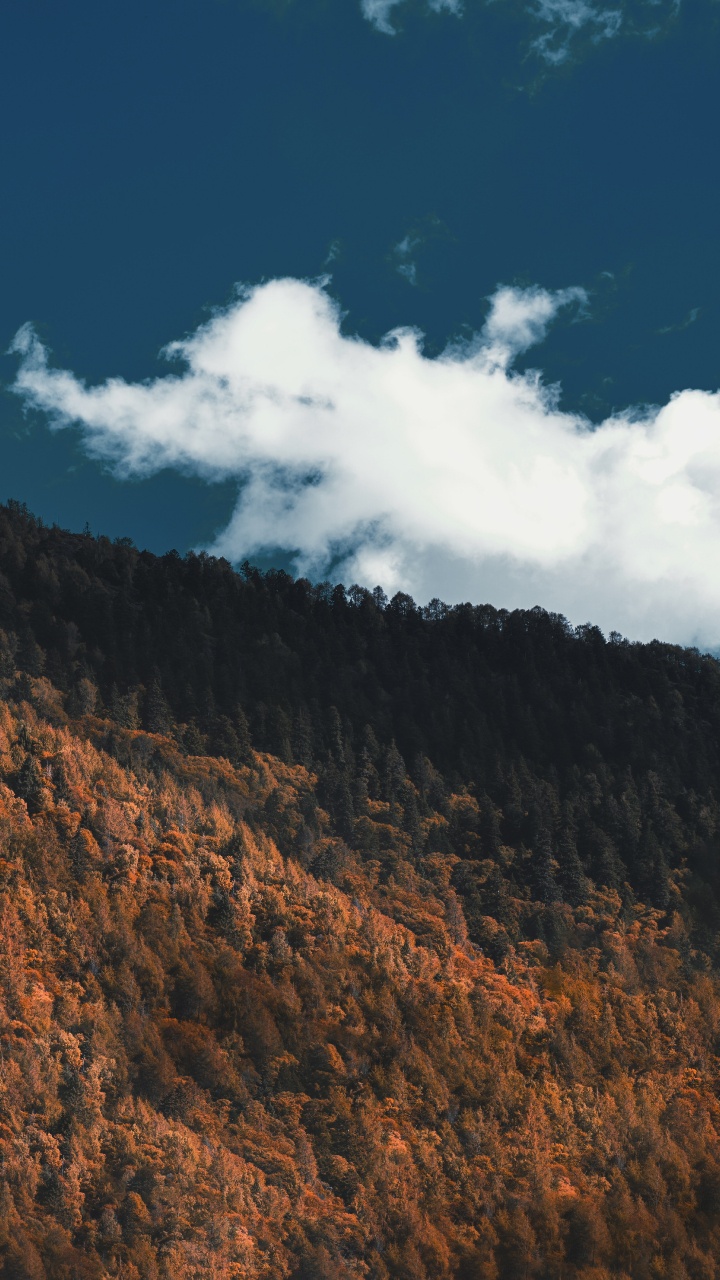 Обои облако, горный рельеф, гора, дикая местность, почва в разрешении 720x1280