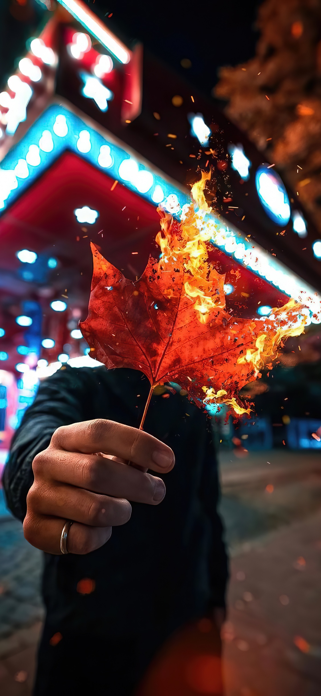 Обои свет, растение, лист, ветвь, жест в разрешении 1125x2436