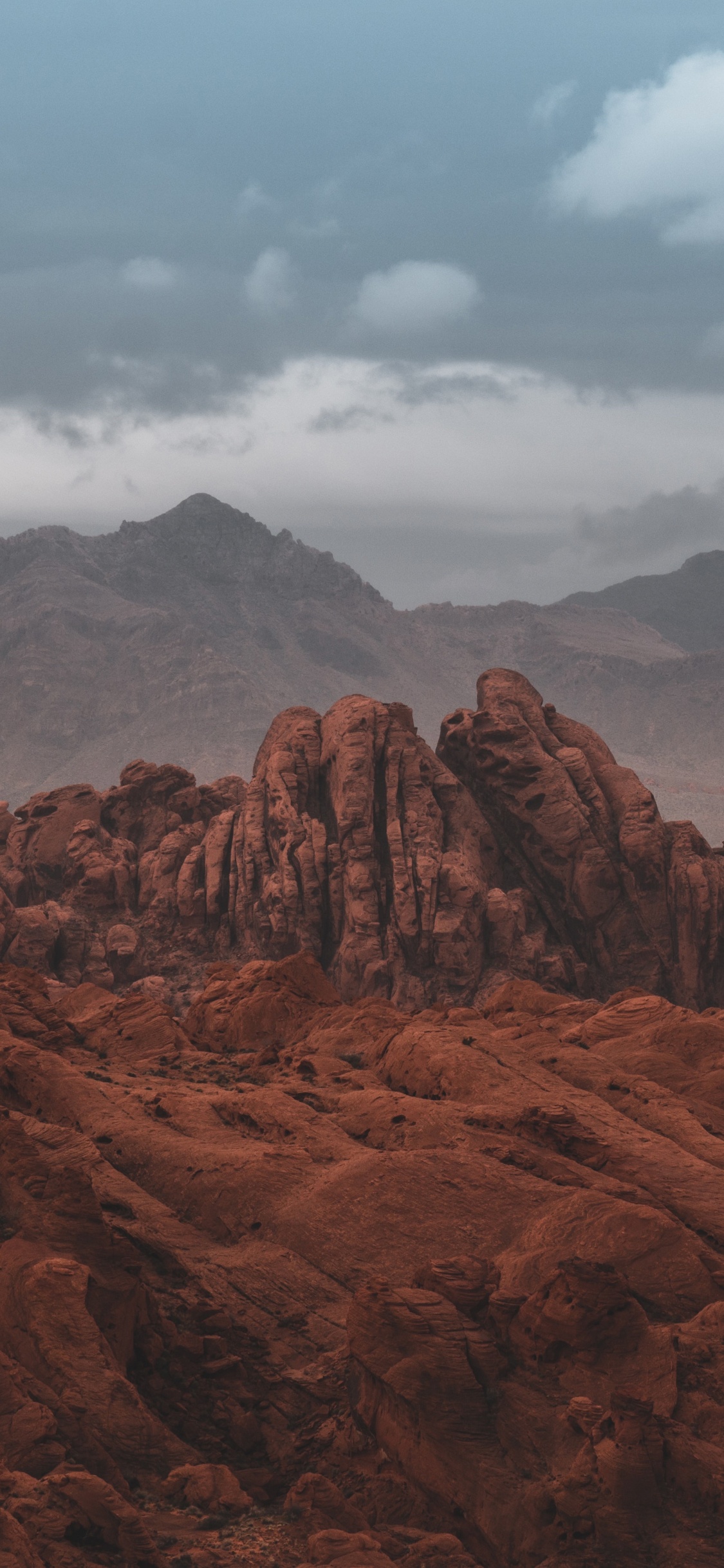 Обои облако, гора, нагорье, дерево, природный ландшафт в разрешении 1125x2436