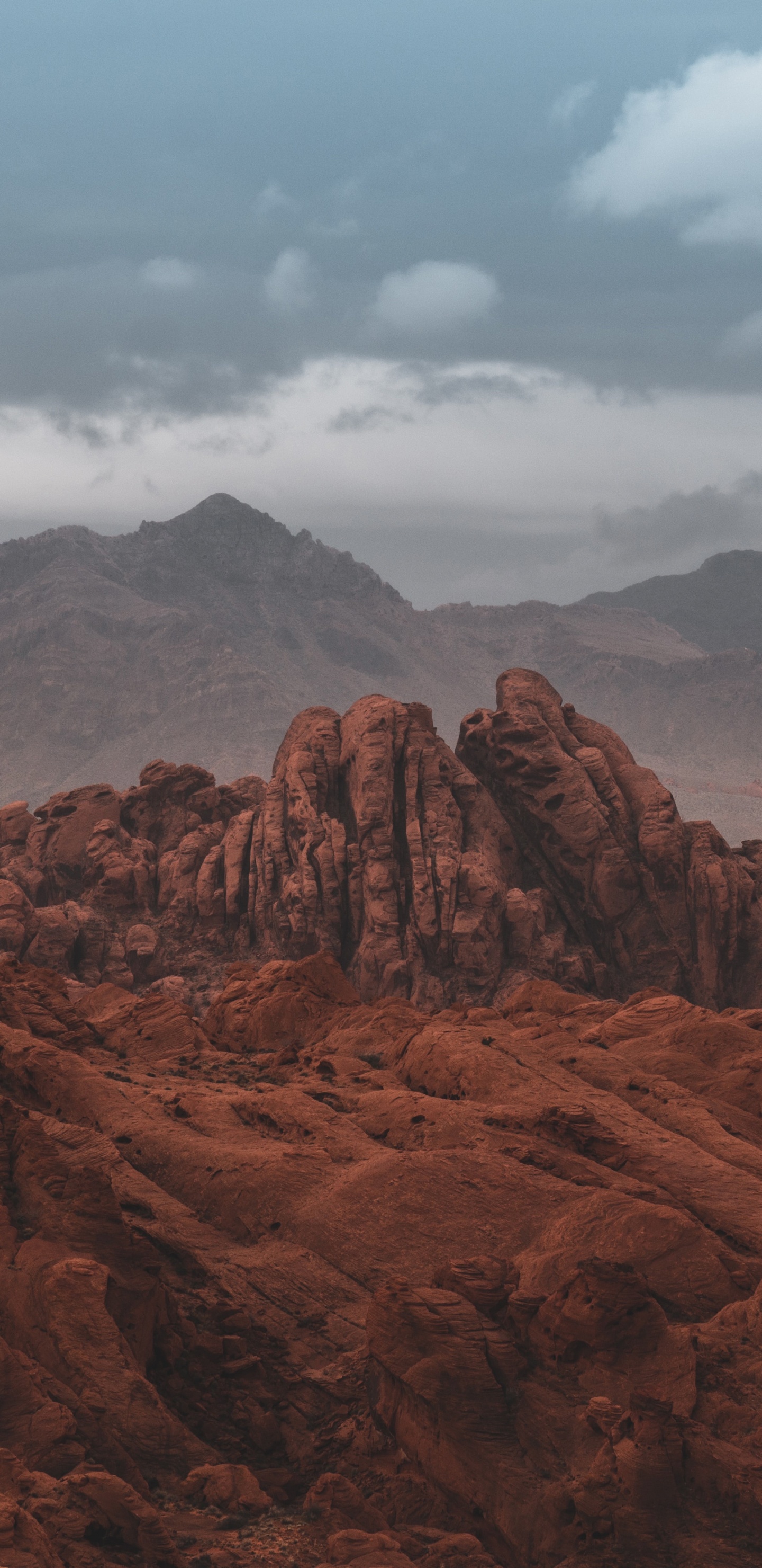 Обои облако, гора, нагорье, дерево, природный ландшафт в разрешении 1440x2960