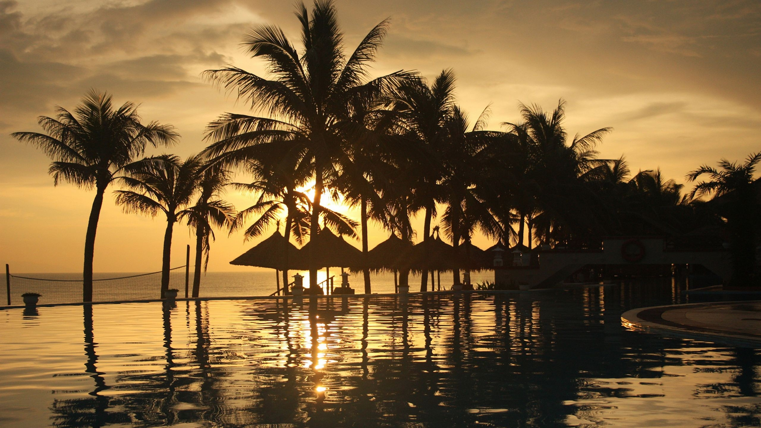 Обои дерево, тропическая зона, Пальма, закат, отражение в разрешении 2560x1440