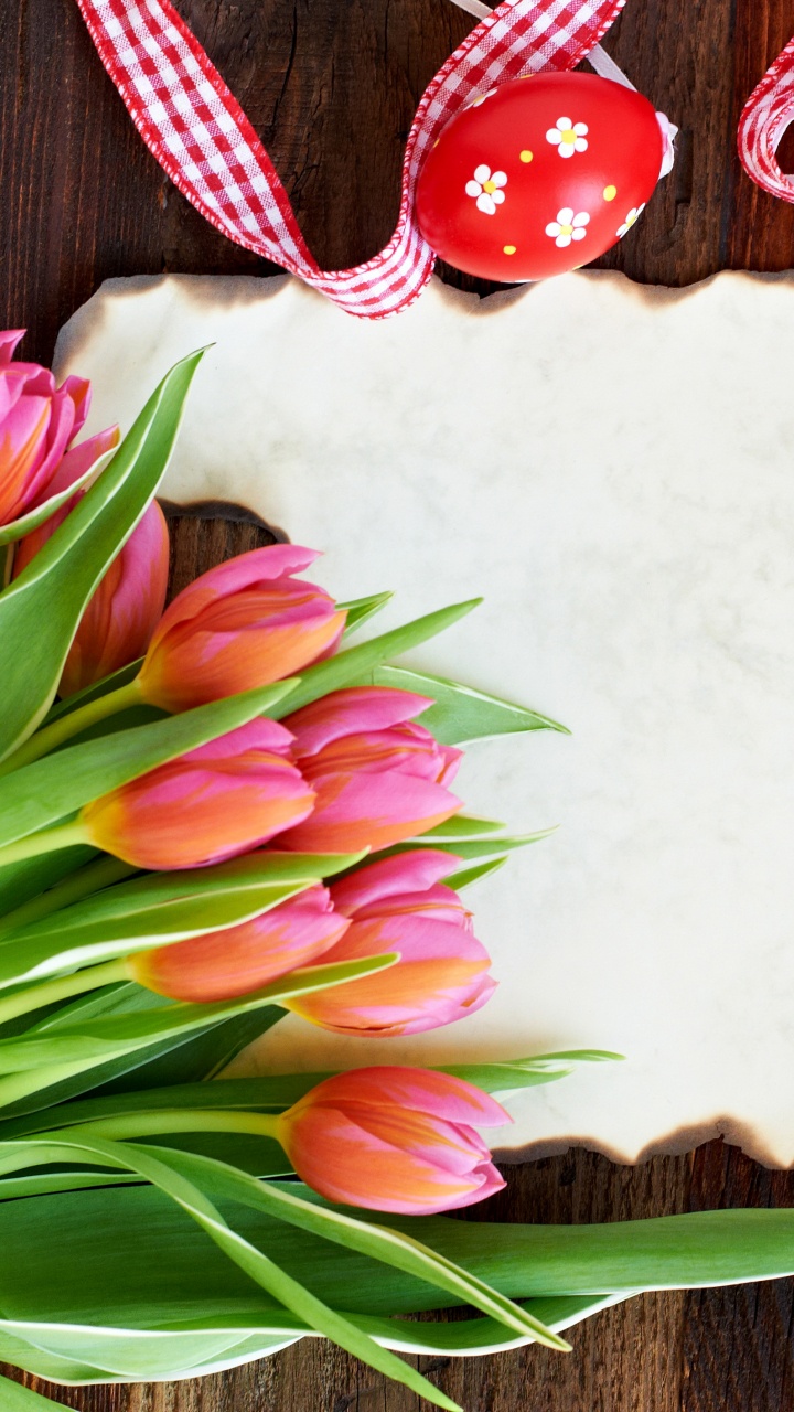 Обои пасхальное яйцо, праздник, пасхальный кролик, тюльпаны, цветок в разрешении 720x1280