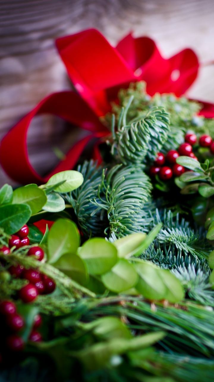 Обои Рождественские украшения, Рождественский день, рождественский орнамент, растение, лист в разрешении 720x1280