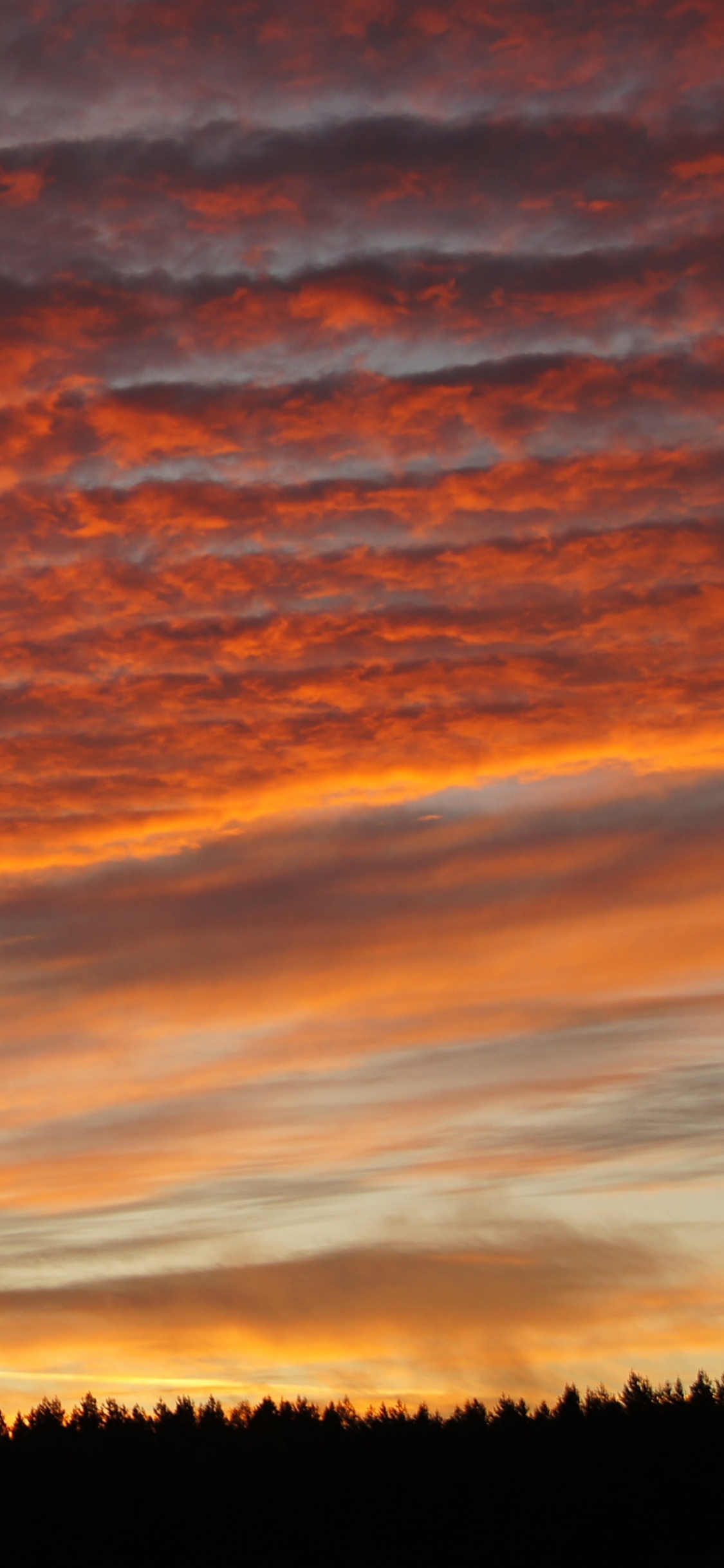 Обои облако, закат, послесвечение, восход солнца, красавица в разрешении 1125x2436