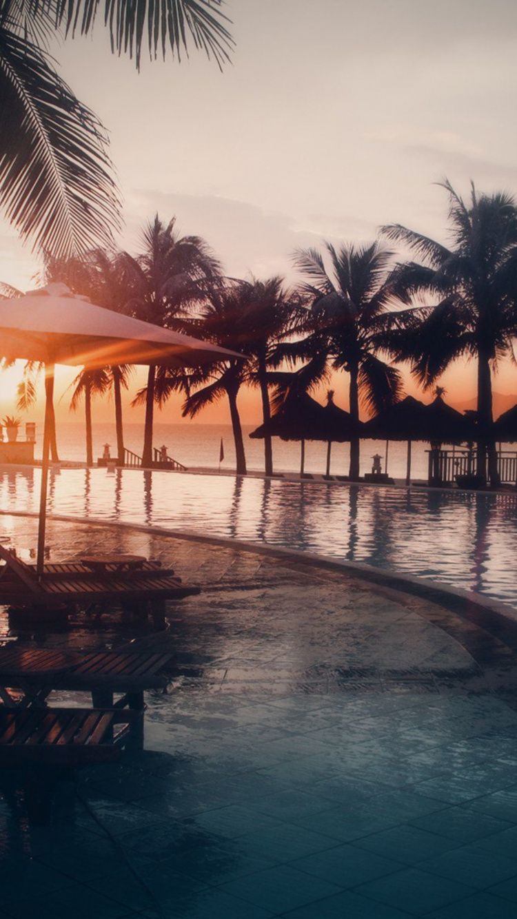 Обои отражение, вечер, закат, тропическая зона, прибежище в разрешении 750x1334