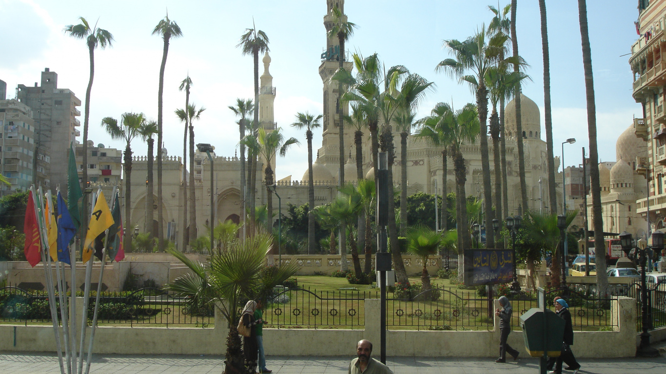 Обои Пальма, пальмовые рощи, рыночная площадь, достопримечательность, отдых в разрешении 1366x768