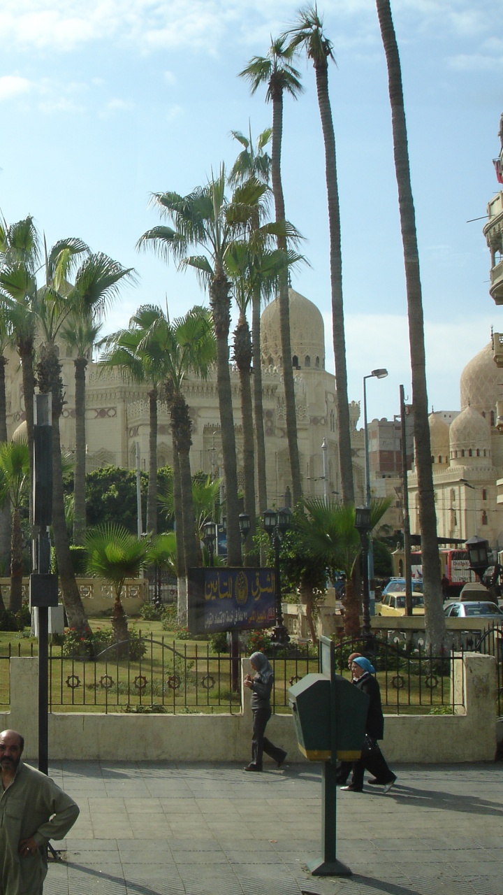 Обои Пальма, пальмовые рощи, рыночная площадь, достопримечательность, отдых в разрешении 720x1280