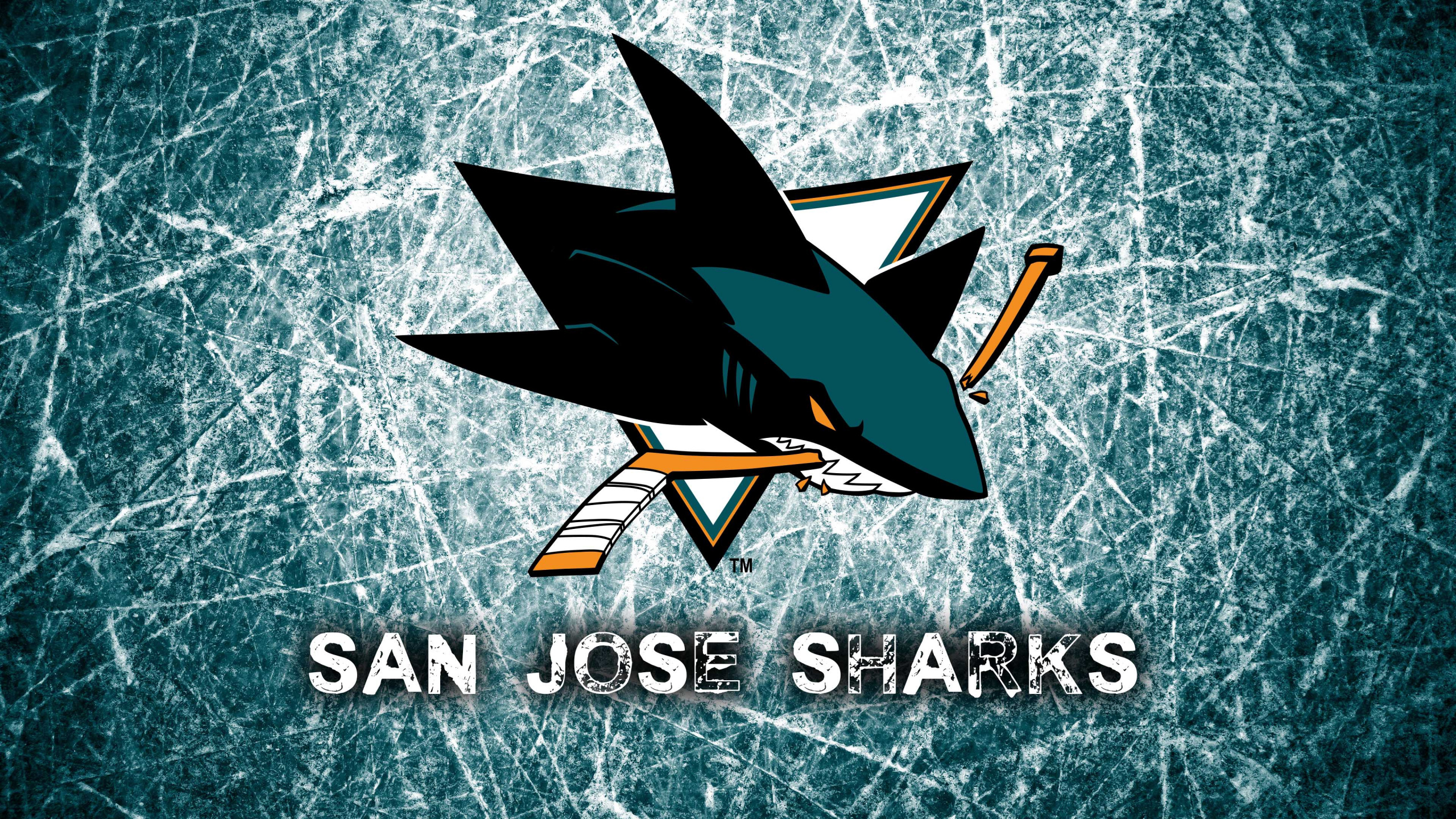 Обои Сан-Хосе Шаркс, национальная хоккейная лига, хоккей на льду, самолет, самолеты в разрешении 2560x1440