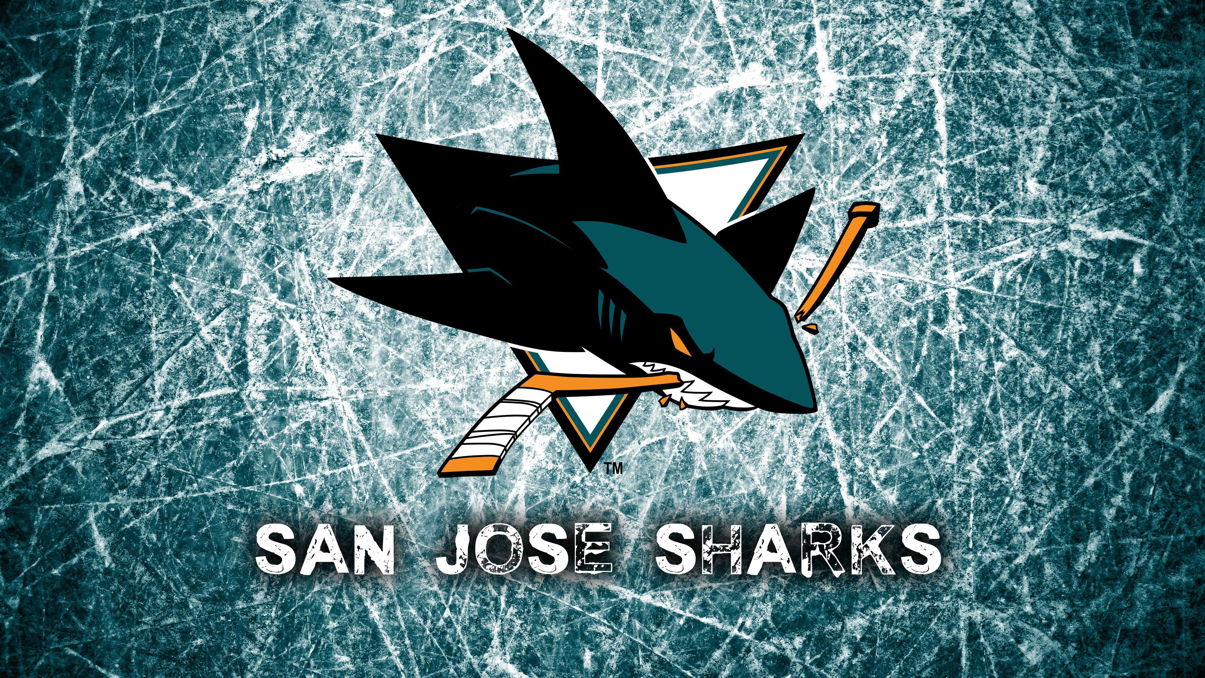 Обои Сан-Хосе Шаркс, национальная хоккейная лига, хоккей на льду, самолет, самолеты в разрешении 3840x2160