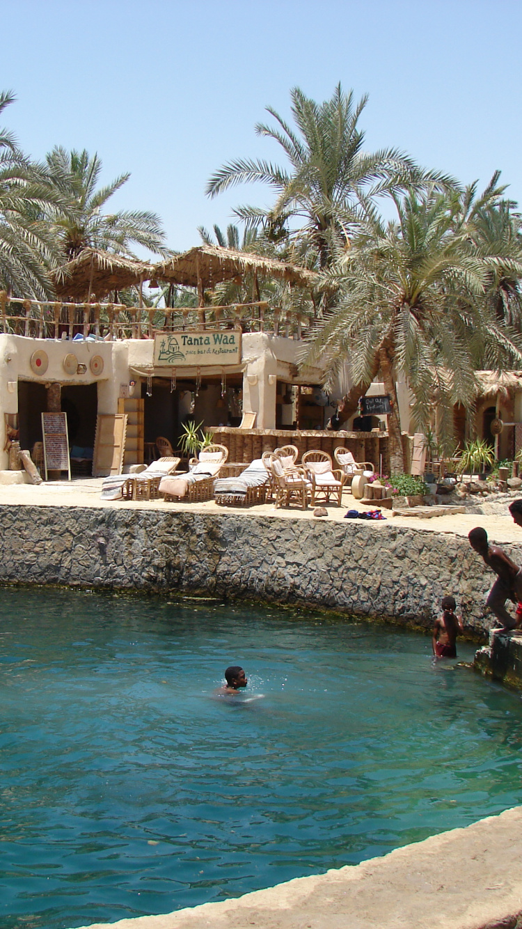 Обои Оазис Сива, плавательный бассейн, досуг, отпуск, прибежище в разрешении 750x1334