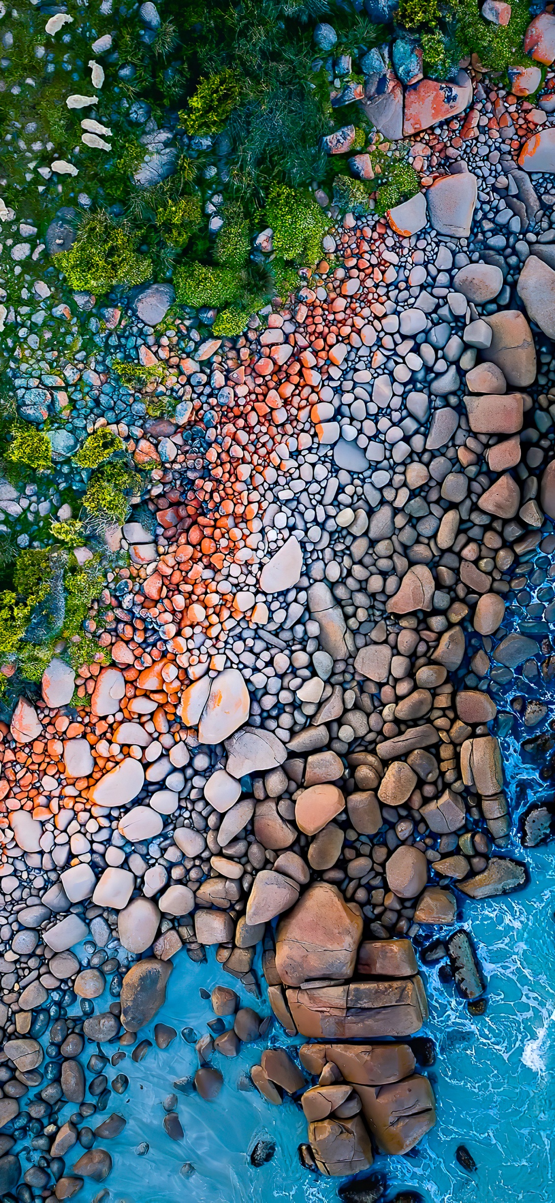 Обои отражение, лист, окружающая среда, ботаники, природный ландшафт в разрешении 1125x2436