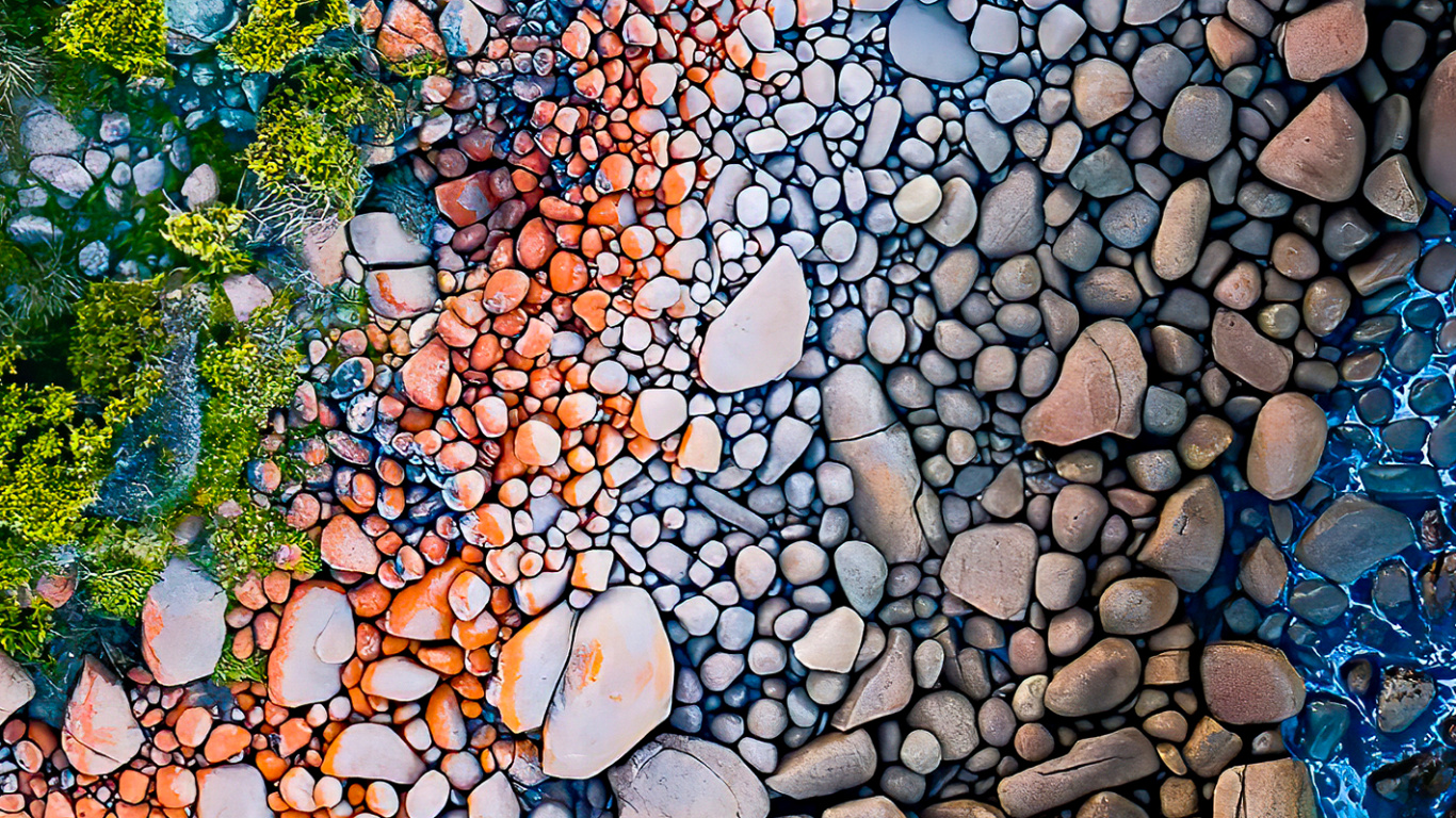 Обои отражение, лист, окружающая среда, ботаники, природный ландшафт в разрешении 1366x768