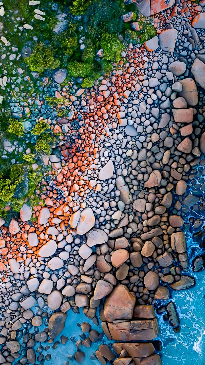 Обои отражение, лист, окружающая среда, ботаники, природный ландшафт в разрешении 720x1280